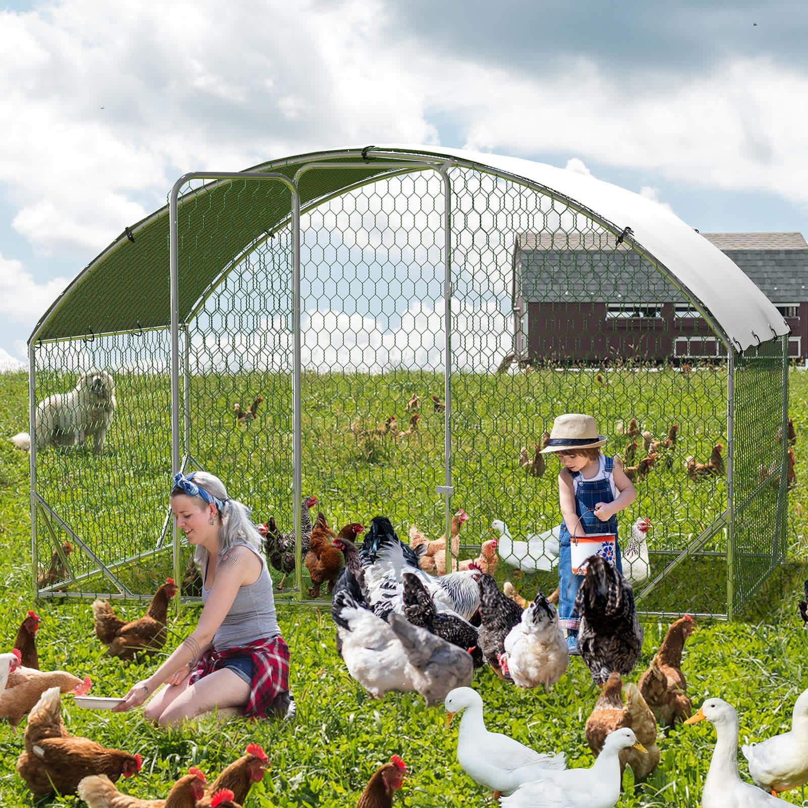 Qeetex GGL-PHO-159PFDNI Chicken-Coops-Rabbit-Hutches - View #2