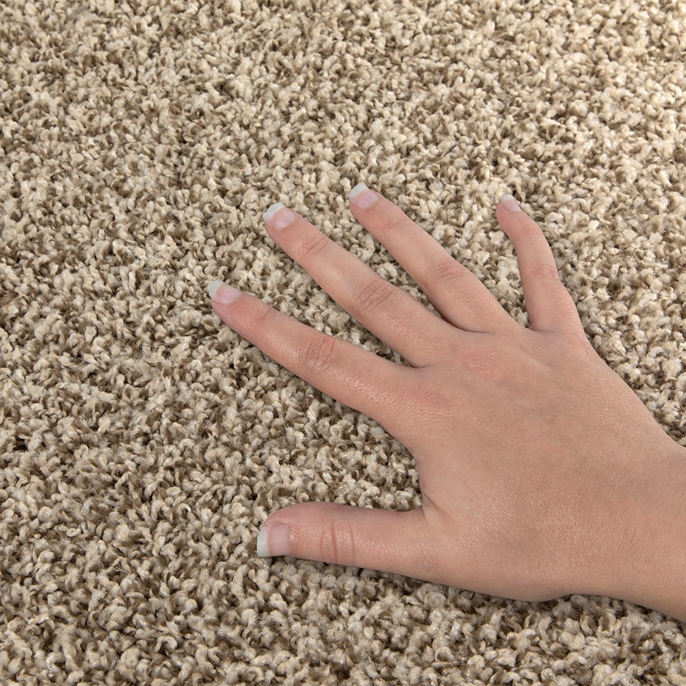 Style Selections LS067-L001-0808 Carpet-Samples - View #5