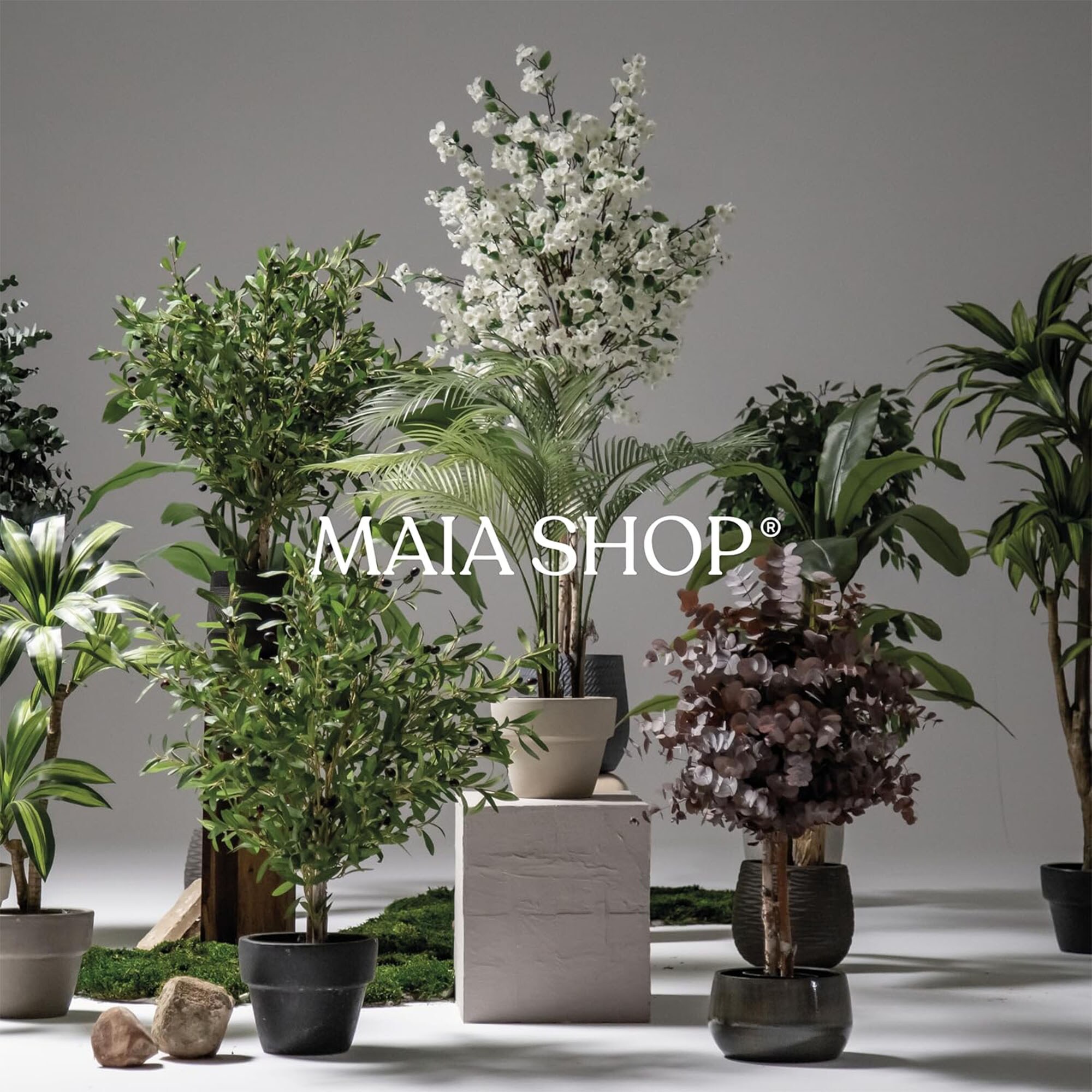 MAIA SHOP 401562 Artificial-Plants-Trees - View #8