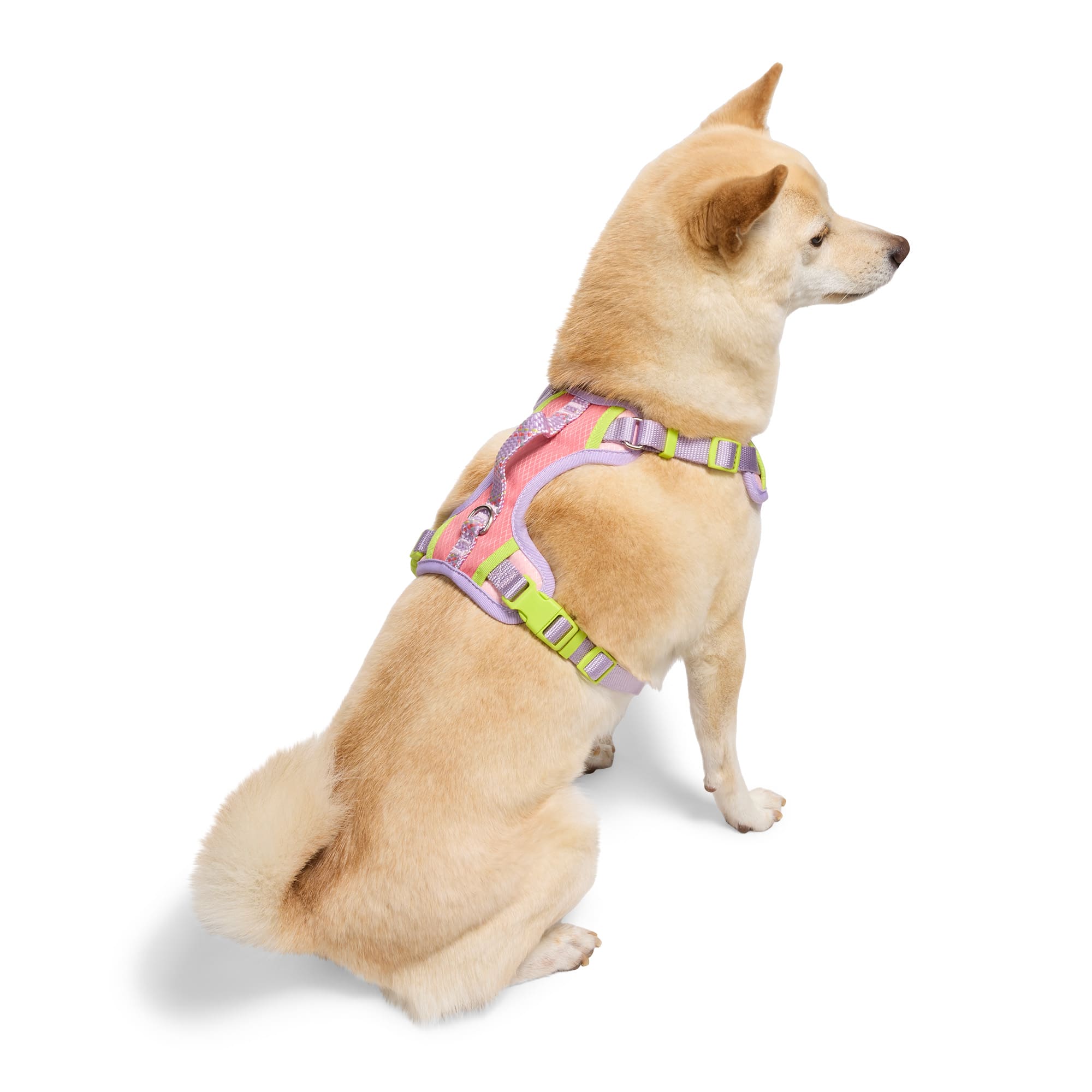 Youly 4595259 Dog-Collars-Harnesses - View #3