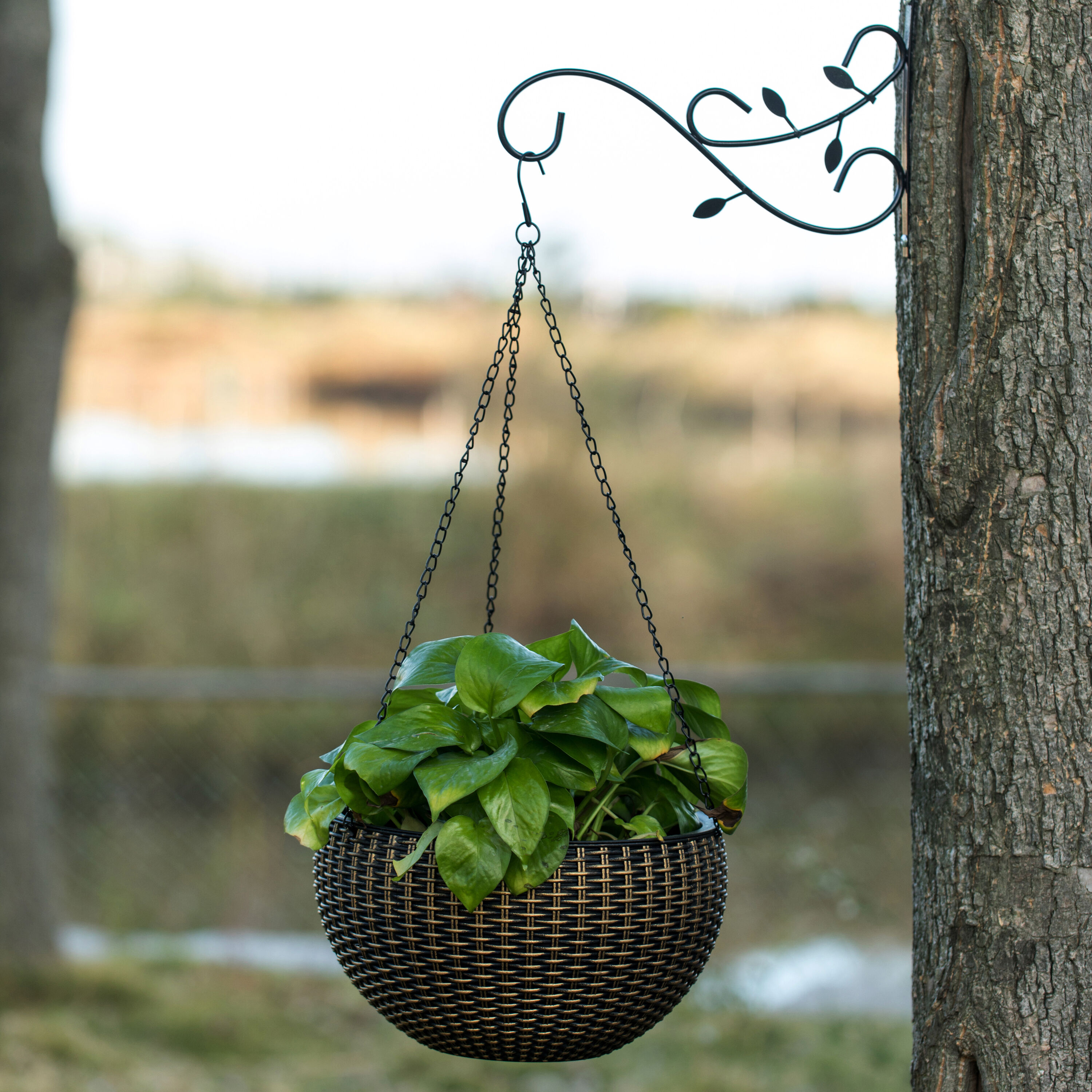 Gardenised QI003983.2 Plant-Hooks - View #2