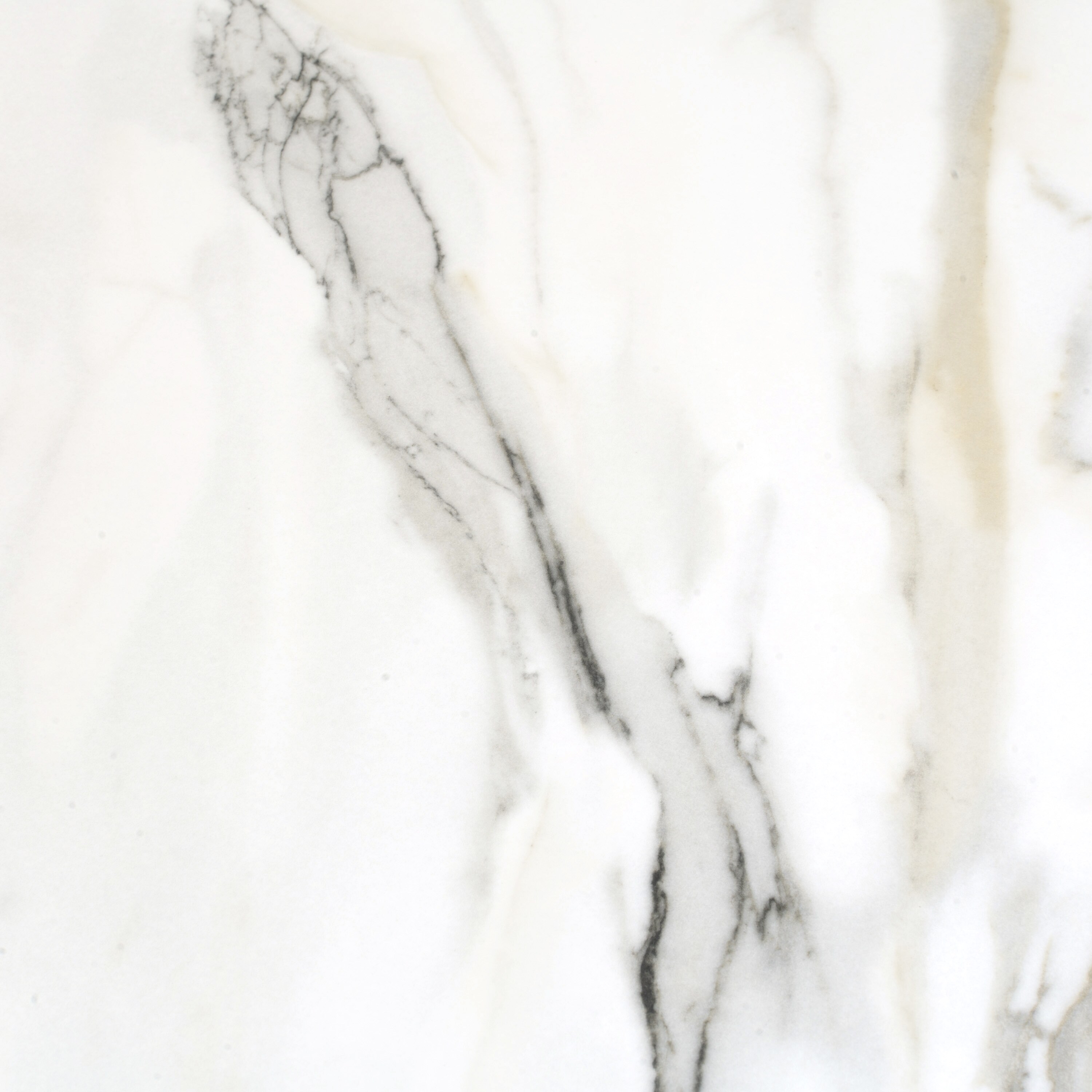 Apollo Tile IMPICALM2448 Ceramic-Tile - View #3