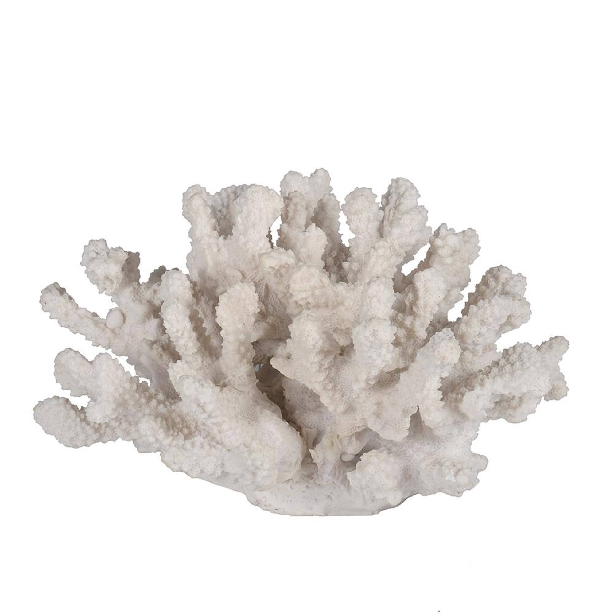 Contemporary Coastal Decorative Ocean Reef Faux Coral Objects- Set