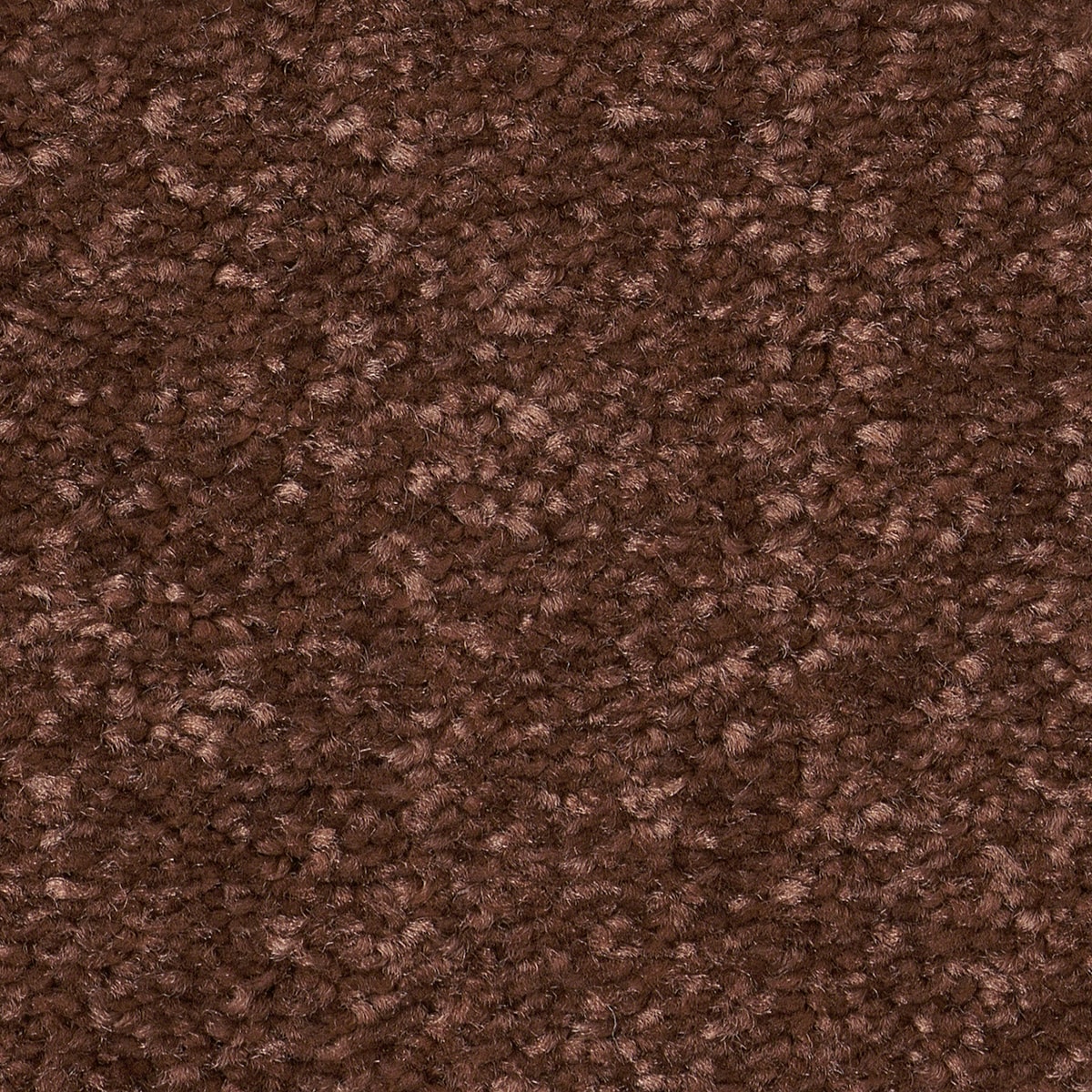 STAINMASTER 7L863 - 651 - SAMP (Sample) Best Intentions II Orange Oxide Brown 53.6-oz sq yard Polyester Textured Indoor Carpet