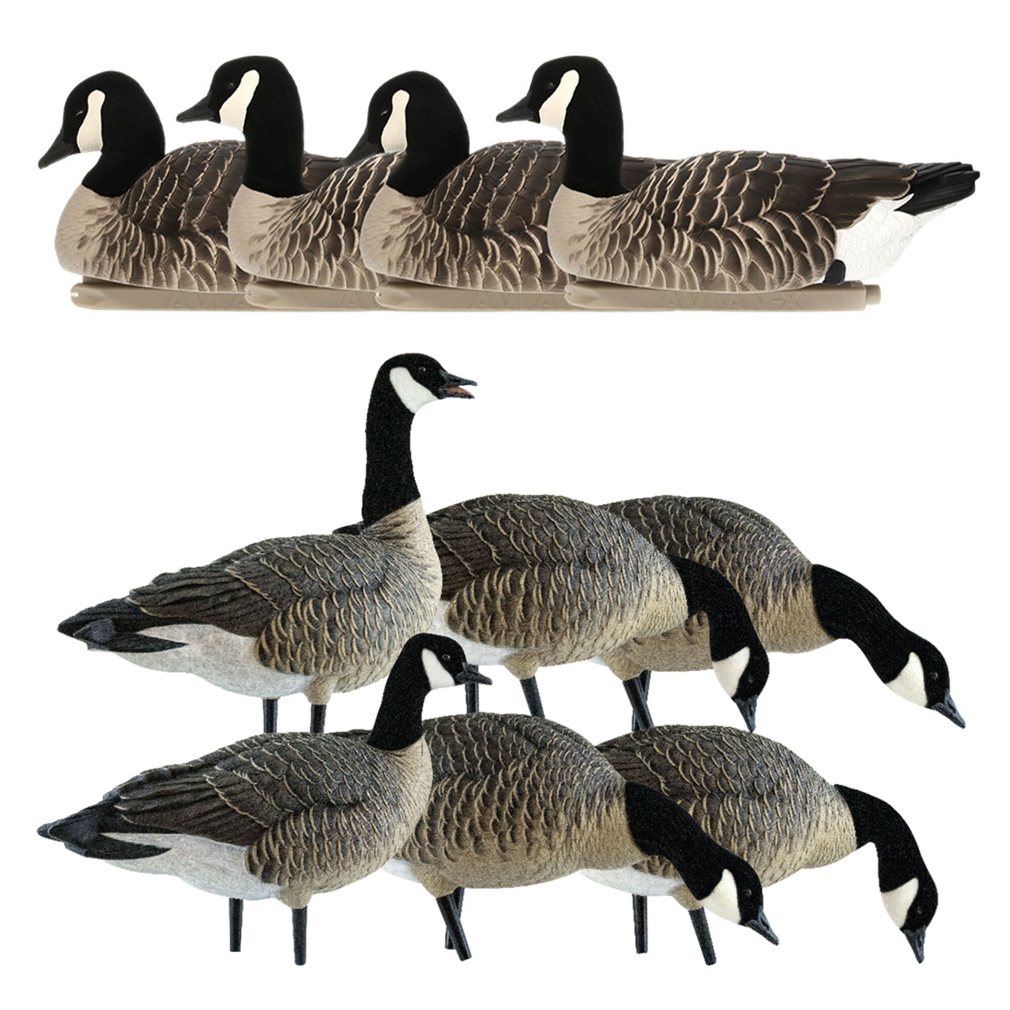  Avian X 408518 18.50 x 17 x 12.50 Inche(s) Decoy 6 -Pack