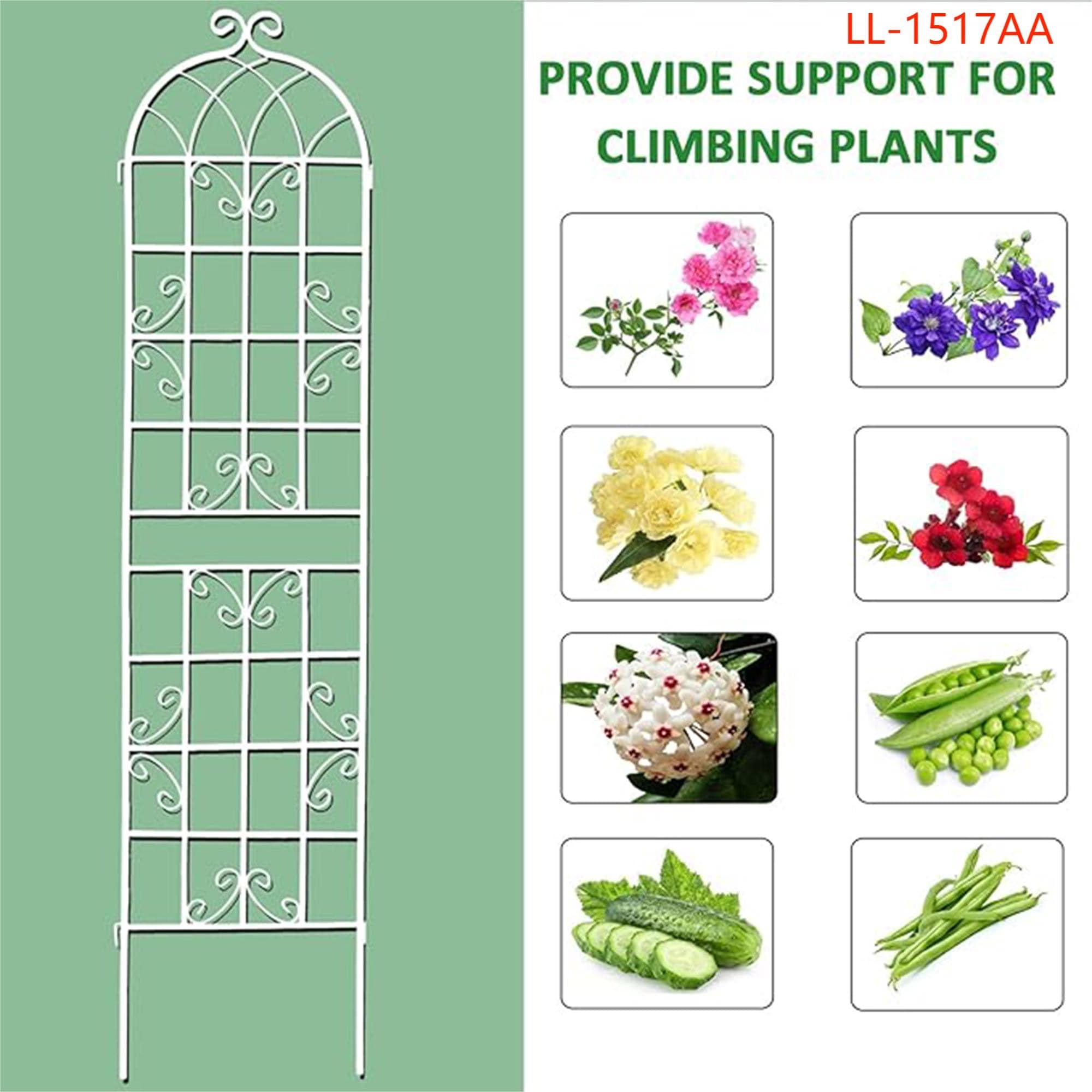 Yiekholo LL-1517AA Garden-Trellis - View #7