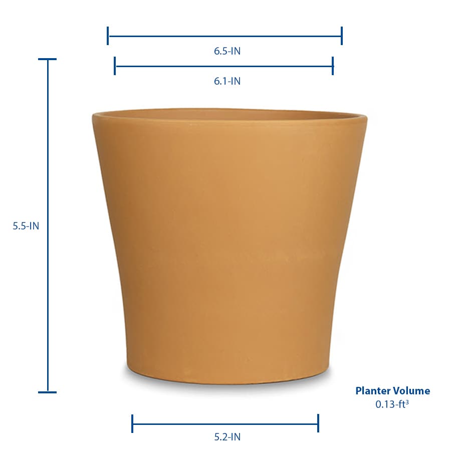 Pennington 6.7-in W x 5.5-in H Terracotta Planter 2149601625