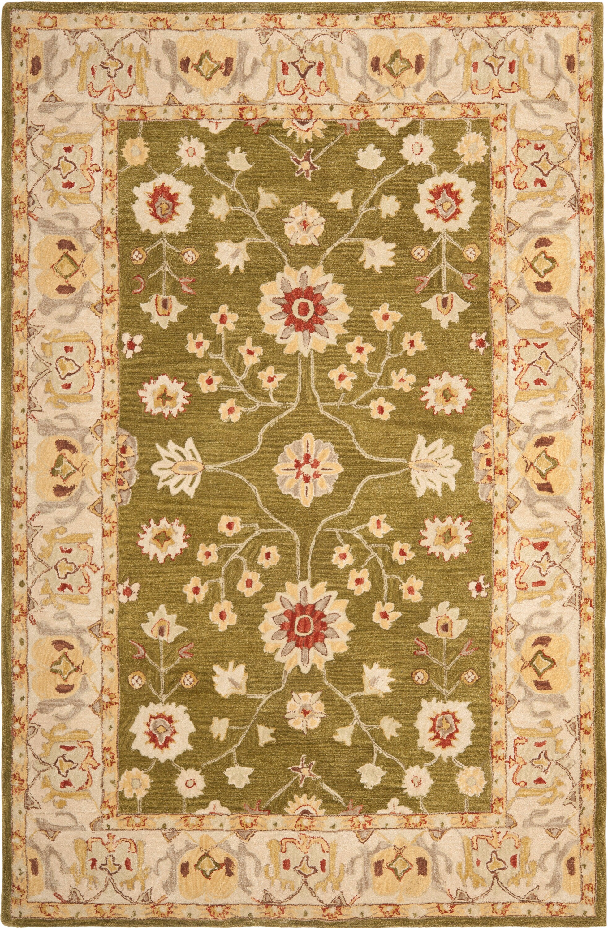 Safavieh AN562D-6 rugs - View #2