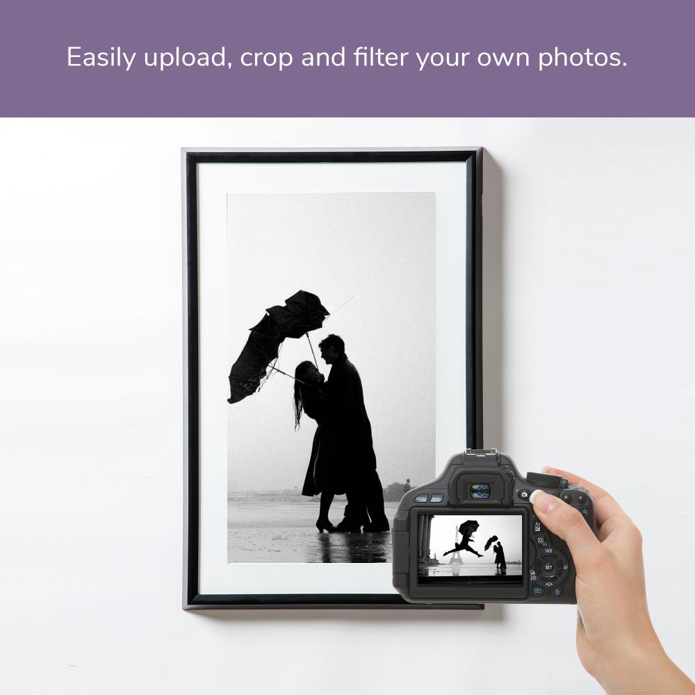 NETGEAR MC227BL-100PAS Picture-Frames - View #3