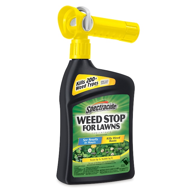 when to put weed killer on lawn