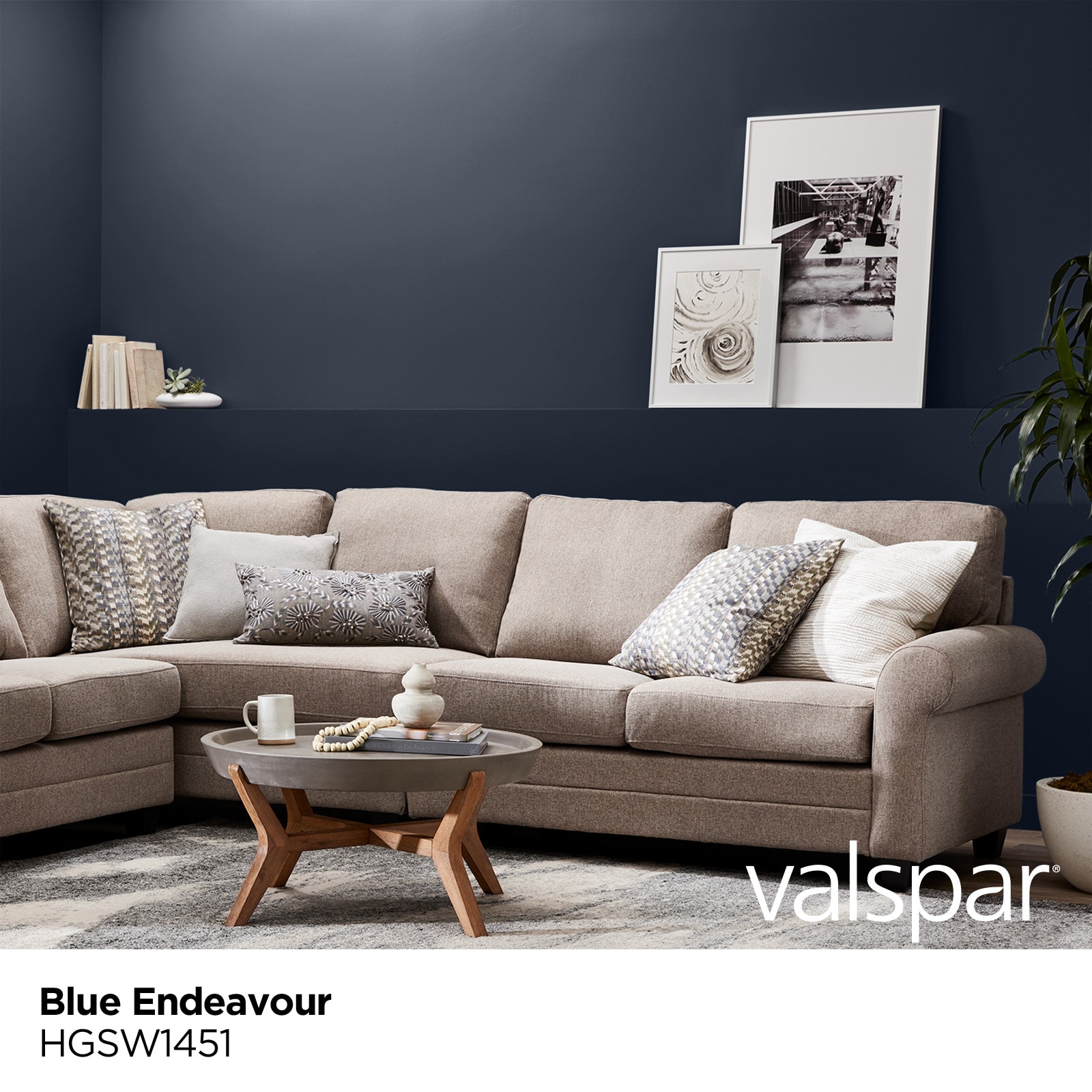 blue endeavor paint