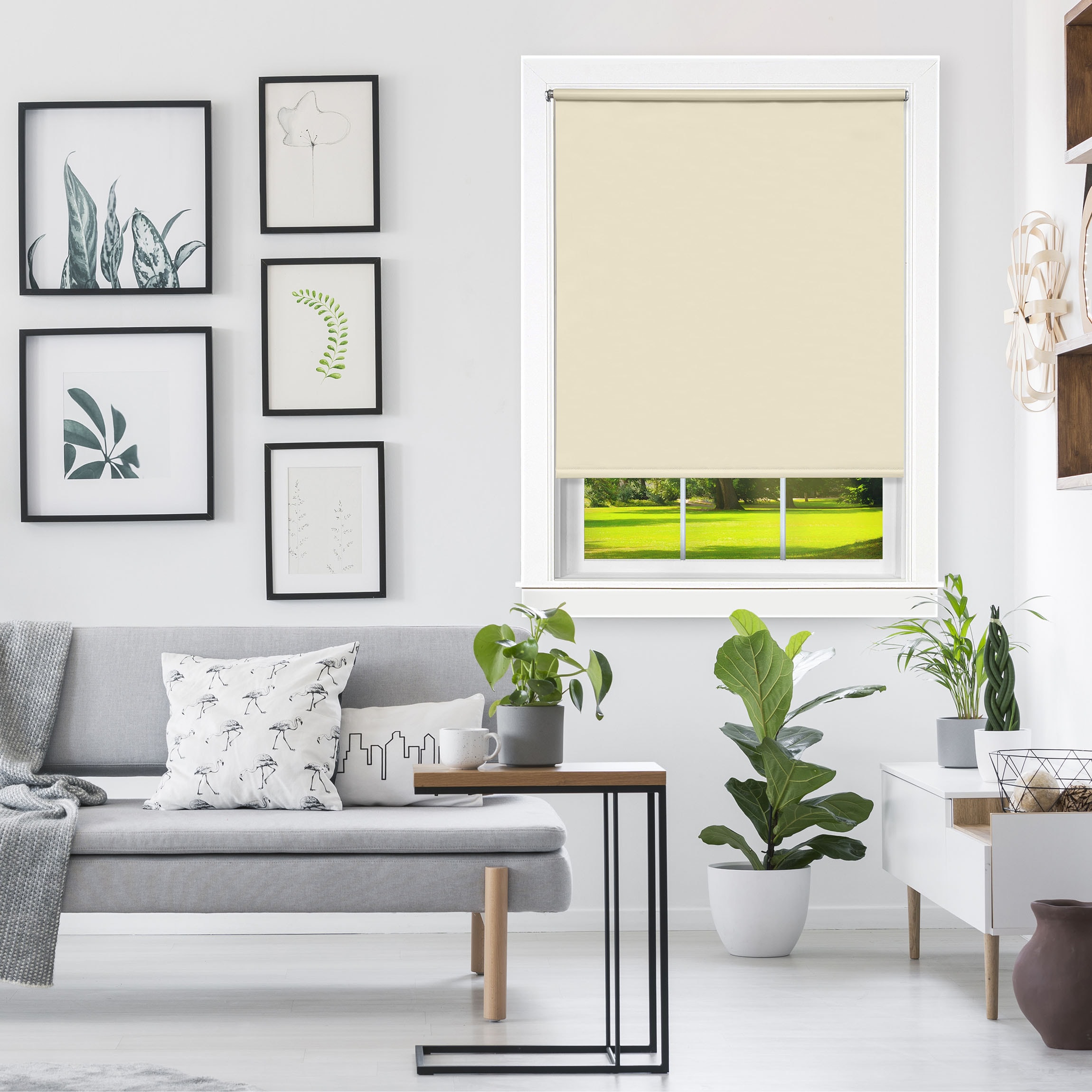 Achim TRS556IV12 shades - View #4