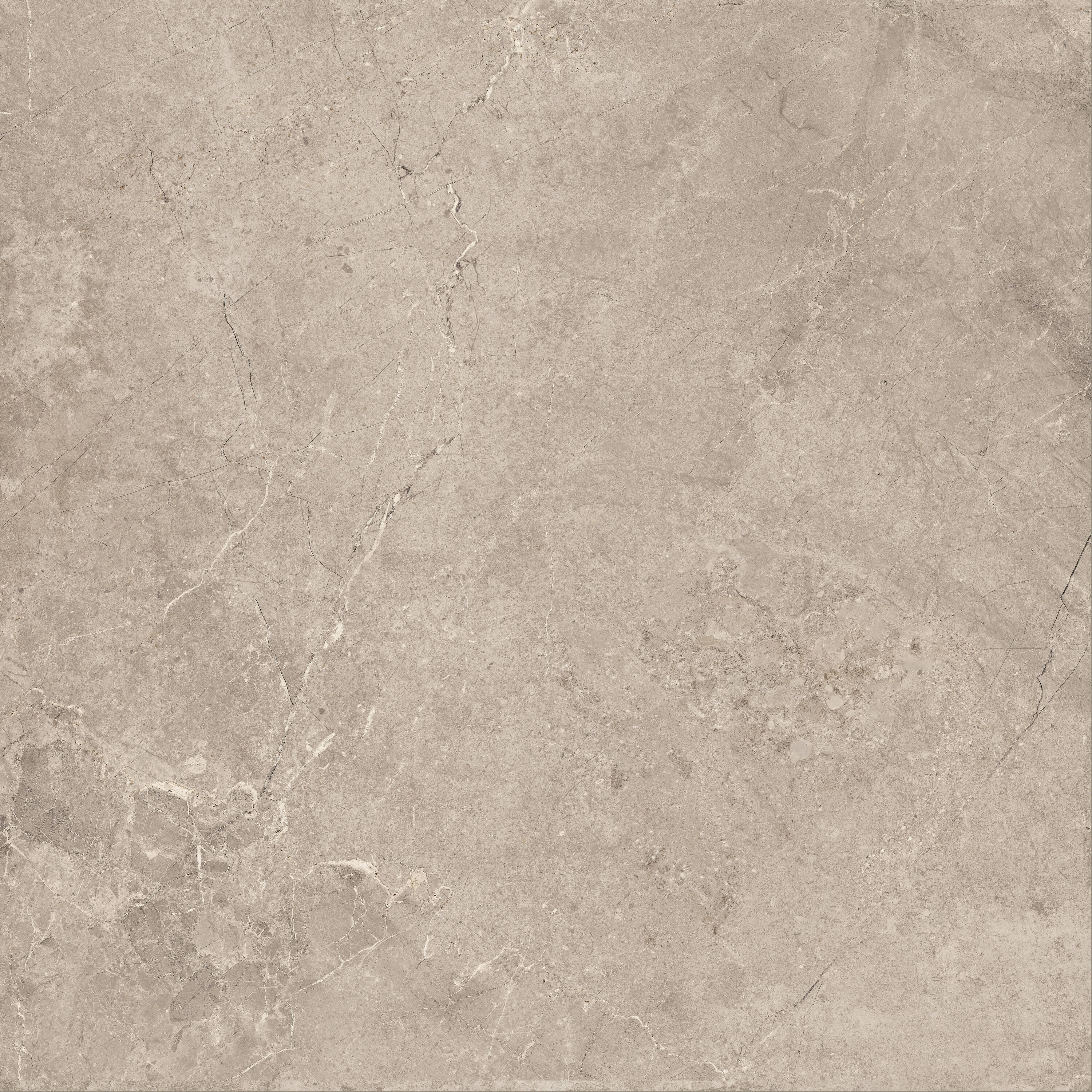 WonderLand LPAVNSORTAU2424 24-in L x 24-in W x 0.79-in H Square Taupe/Matte Porcelain Paver Multi-pack