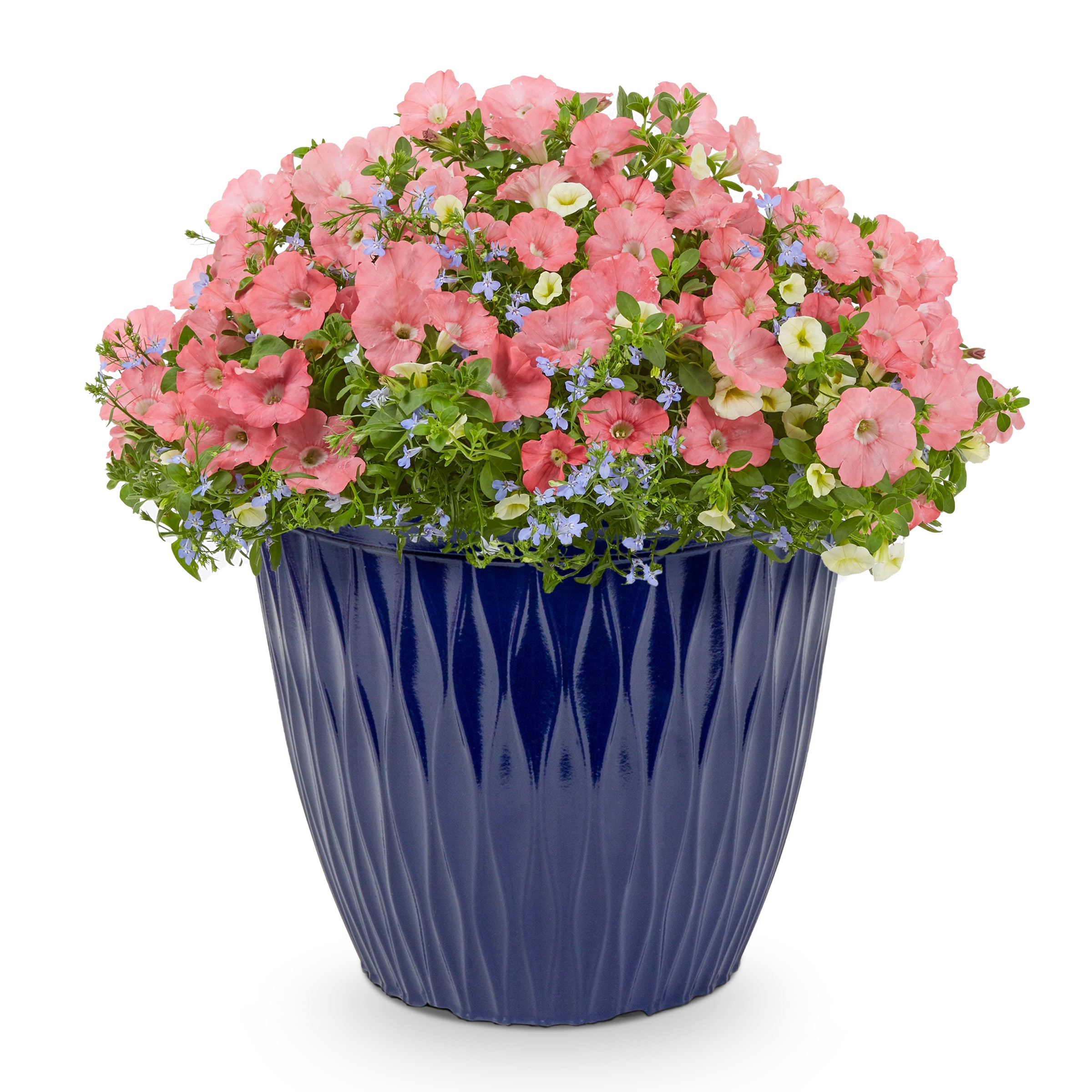 Lowe's 1643148 Multicolor Mixed Annuals Combinations in 3.00 Gallon(s) Planter