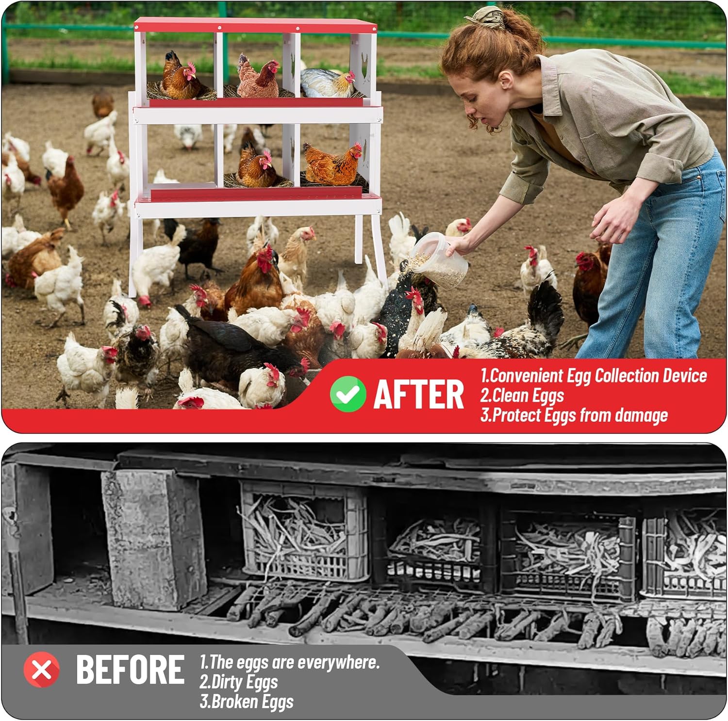 Qeetex GGL-PHO-348S5HJE Chicken-Coops-Rabbit-Hutches - View #4