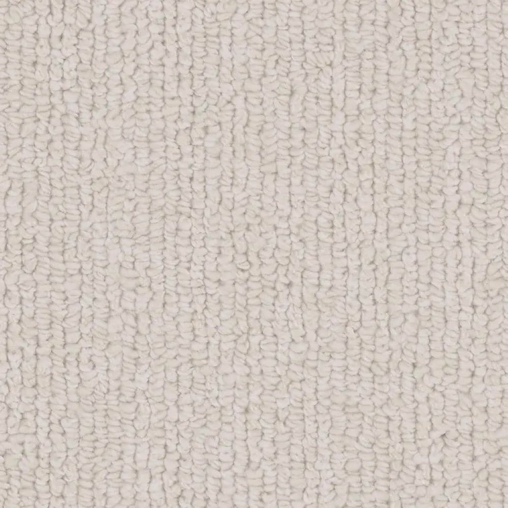 STAINMASTER S9546-30010-S (Sample) Dogwood Brown 46-oz sq yard Polyester Textured Indoor Carpet