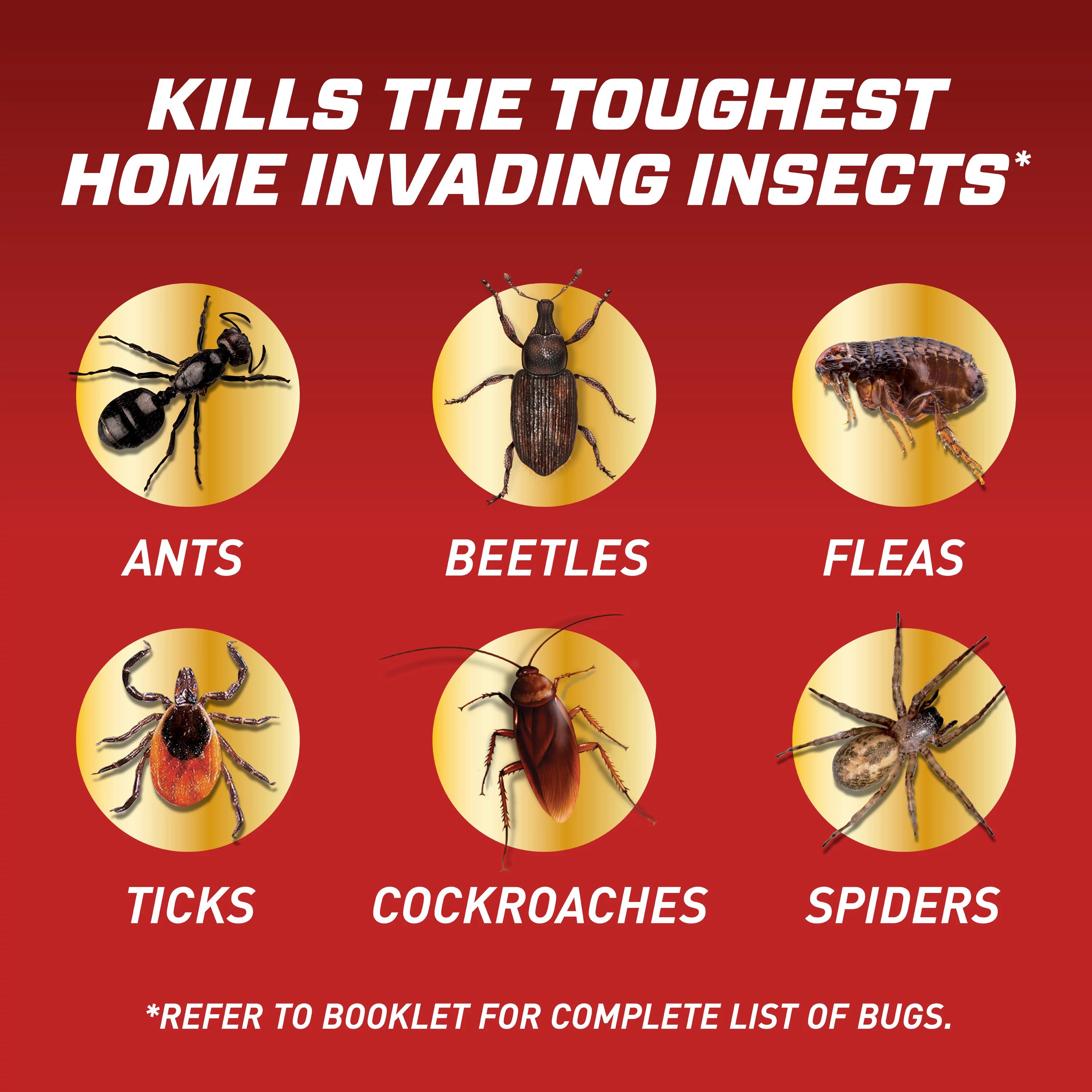 ORTHO 1-Gallon Home Defense for Indoor and Perimeter2 Insect Killer Ready to Use