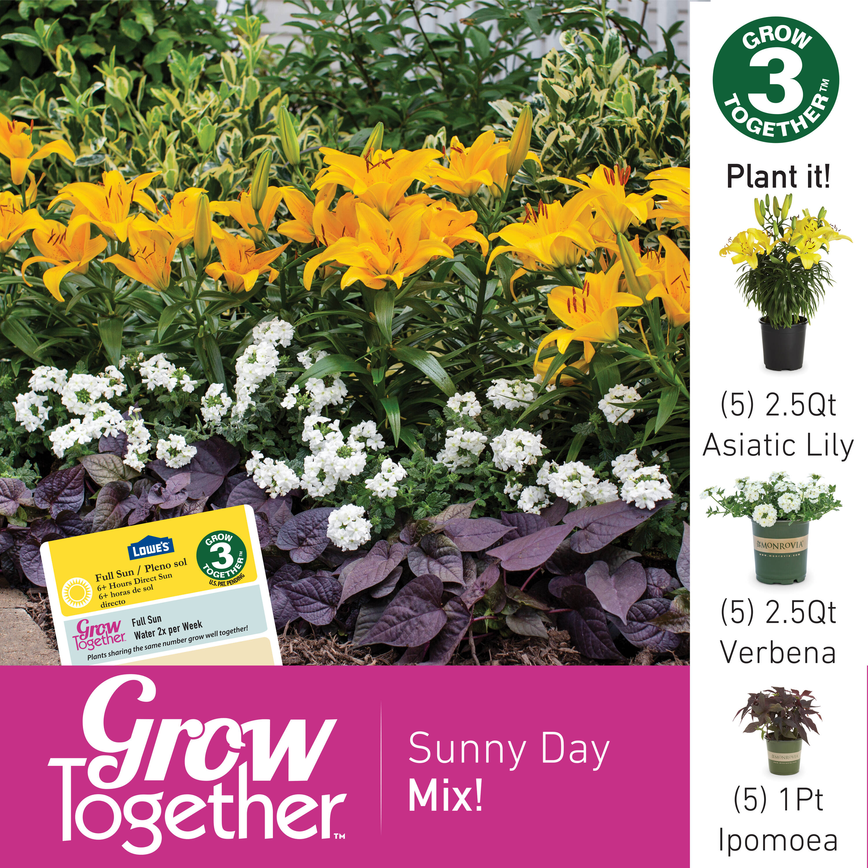 Lowe's 105674 perennials - View #7