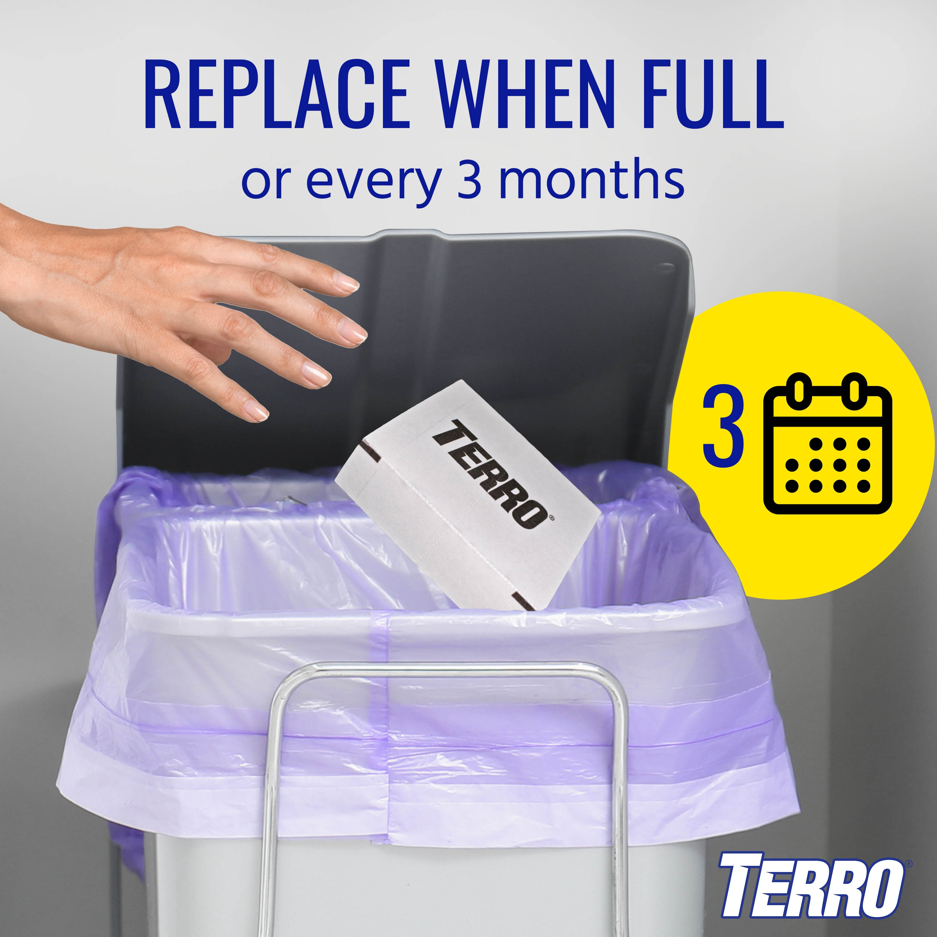 TERRO Indoor Insect Trap (12-Pack) in the Insect Traps department at