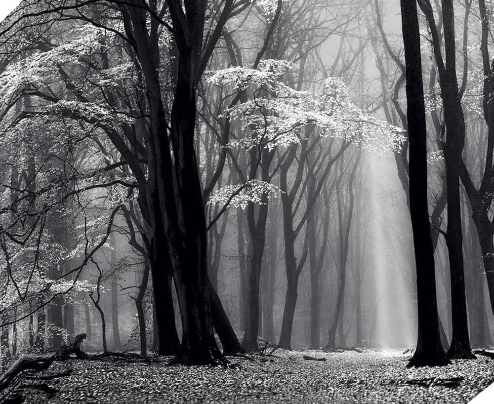  1607-8162LOW 30-in H x 37-in W Landscape Print on Canvas