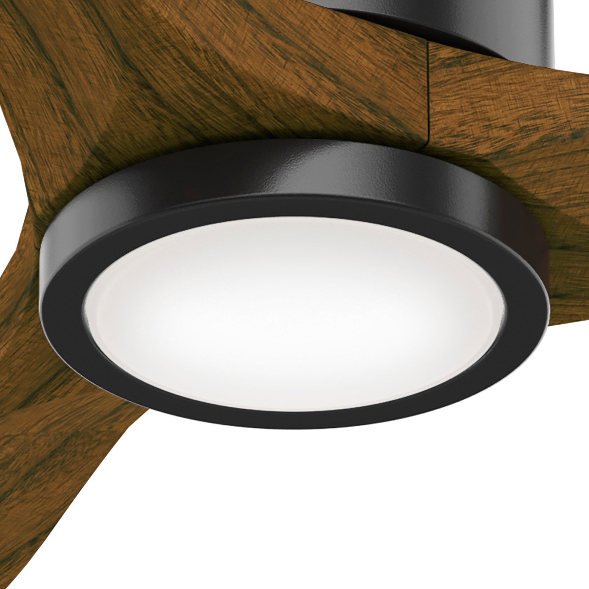 Hunter 50786 Ceiling-Fans - View #11