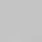 Fog Gray