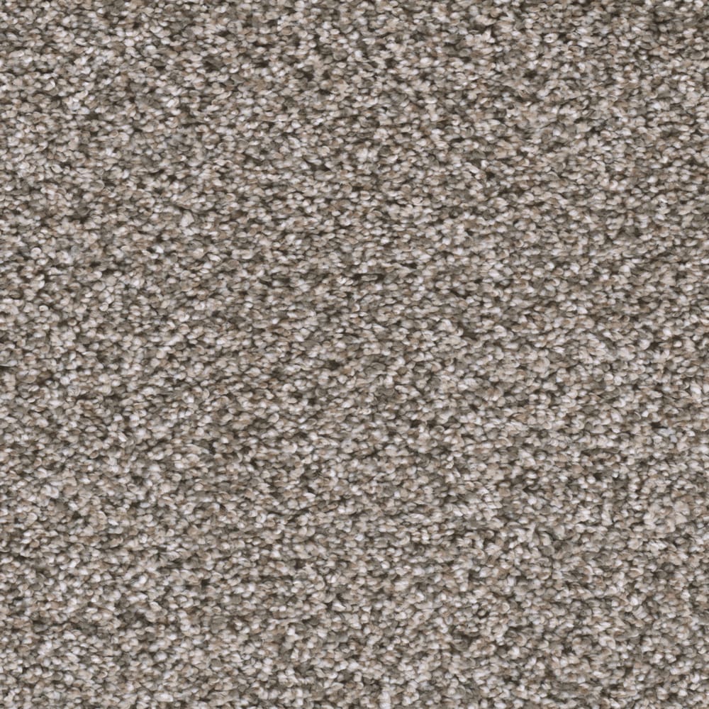 STAINMASTER L3016-262-1200-AB Soft Shadows I Mist Tan 40-oz sq yard Solution-dyed polyester Textured Indoor Carpet