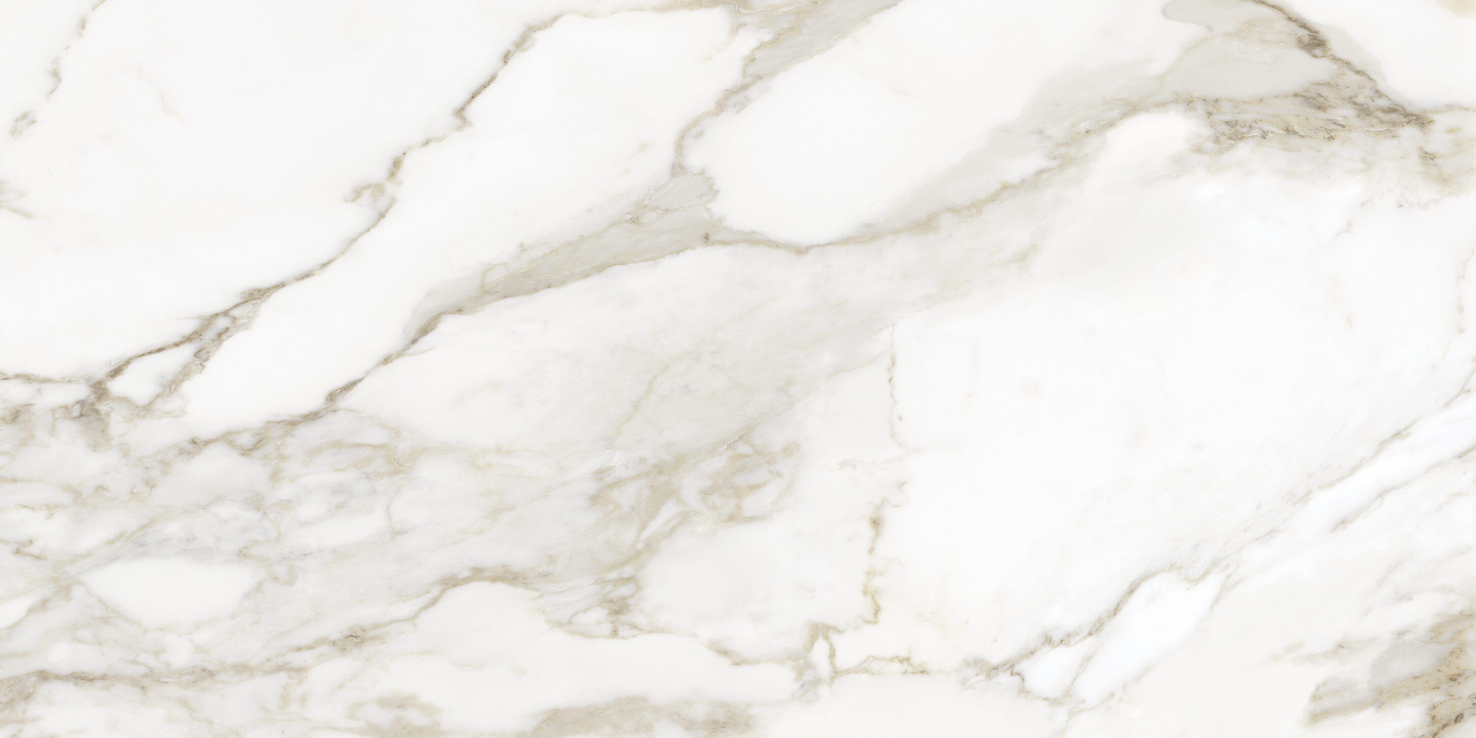 Anatolia 4500-0830-1 La Marca Calacatta Paonazzo 24-in x 48-in Polished Porcelain Marble Look Floor and Wall Tile (15.5-sq. ft/ Carton)
