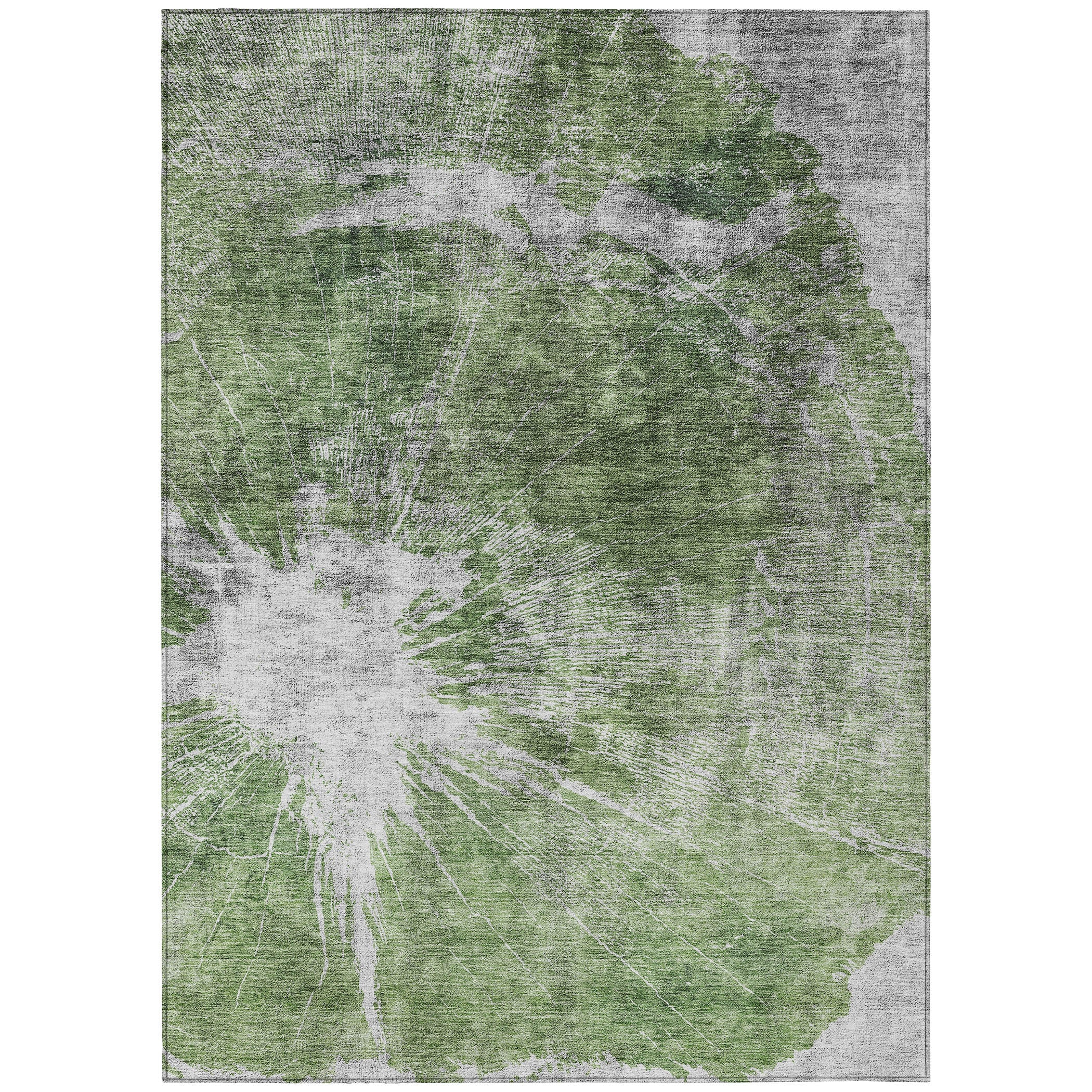 Addison Rugs ACN719AL5X8 Chantille ACN719AL 5 x 7 (ft) Polyester Aloe Rectangular Indoor/Outdoor Geometric Machine washable Area rug