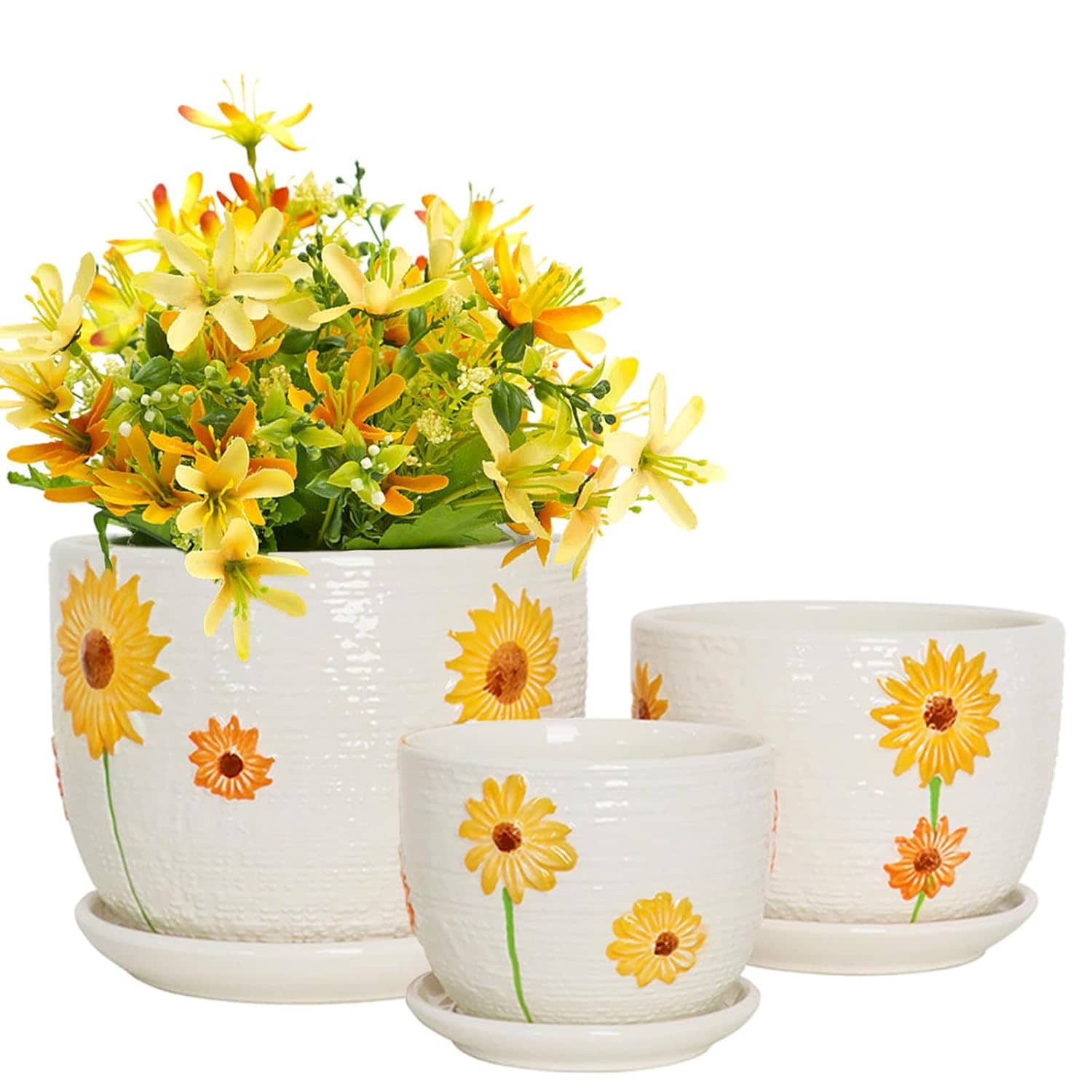 Costa Farms Zz Plant House Plant in 10-in Pot L-GZZ-P-BEI-01-LW at