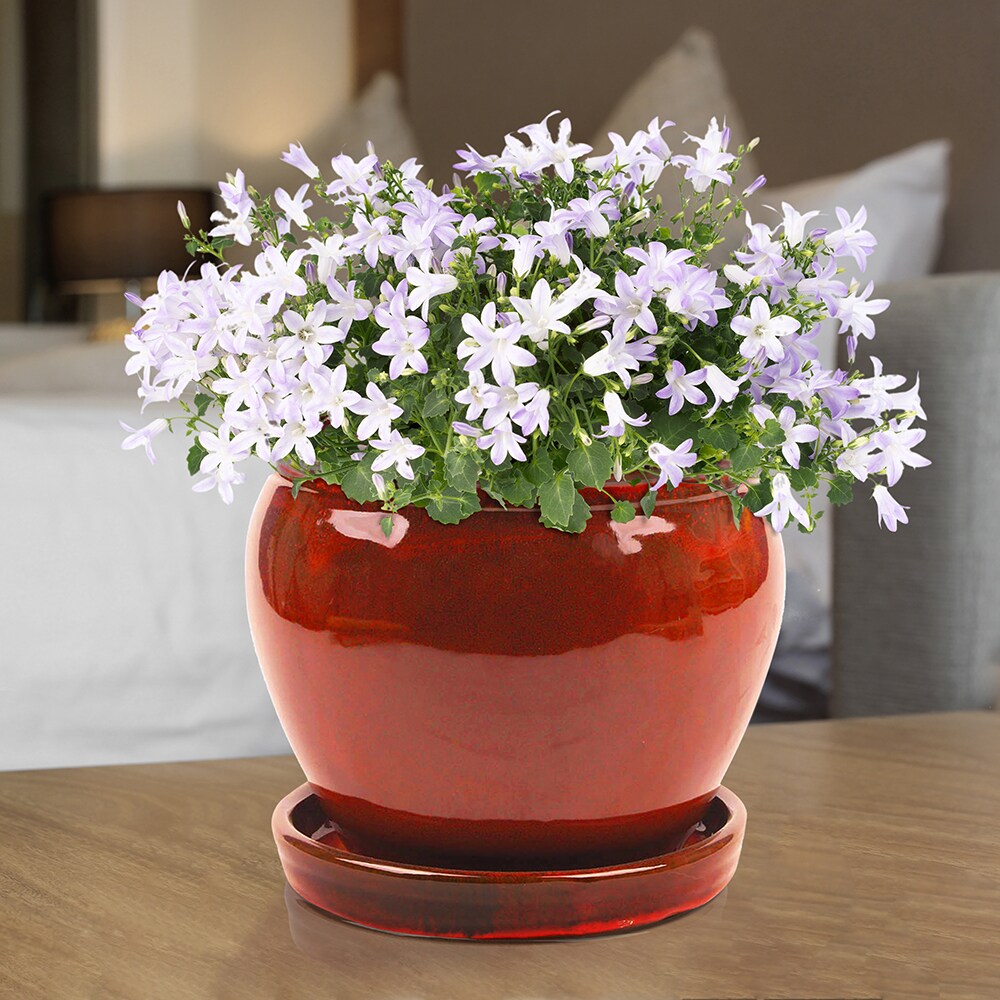 Southern Patio CRM-031055P2 Planter-Window-Box - View #12