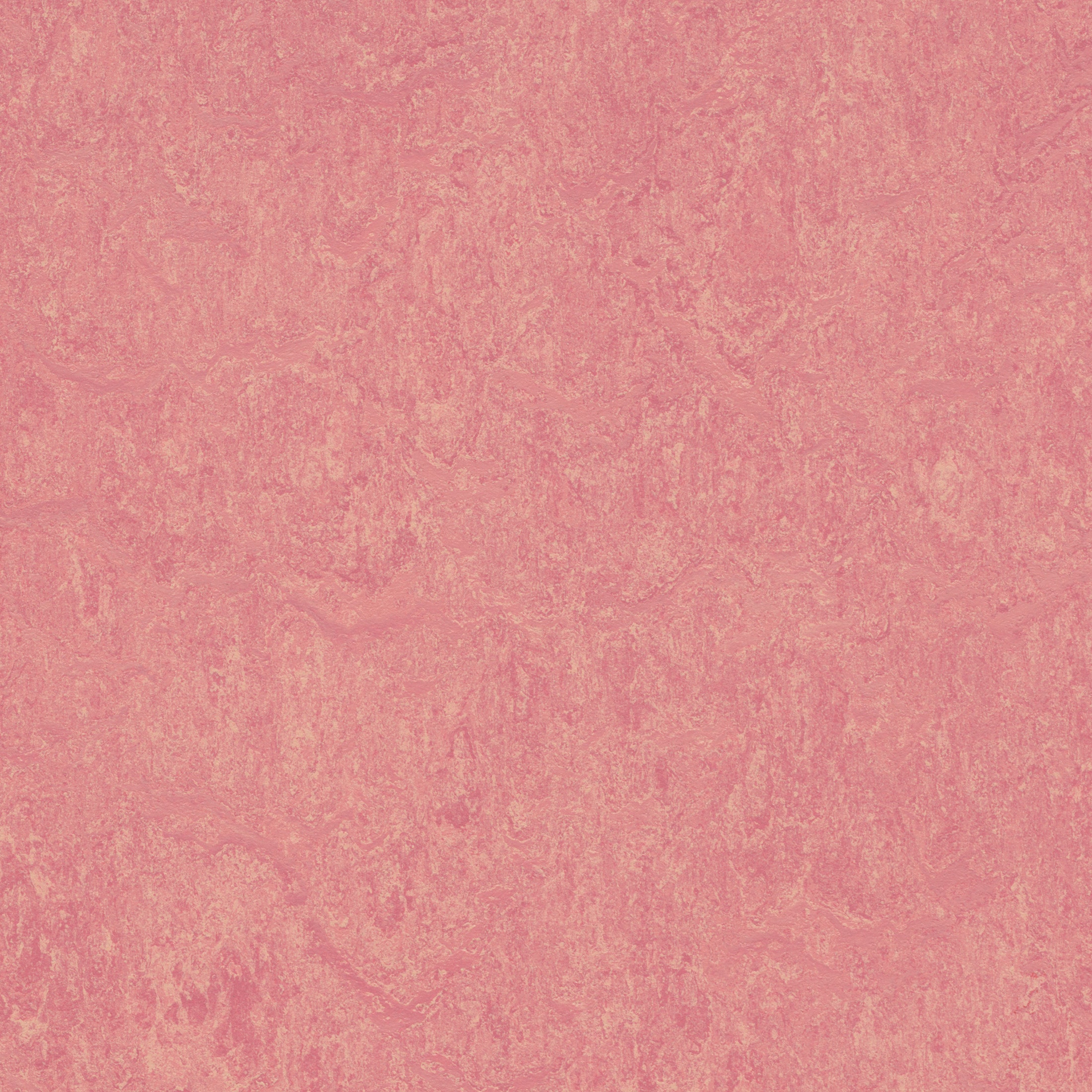 Forbo Flooring Systems 243505 Marmoleum Cinch Loc Seal Honeysuckle 10-mm T x 12-in W x 36-in L Waterproof and Water Resistant Tile look Laminate Flooring ( 20.34-sq ft / Carton )
