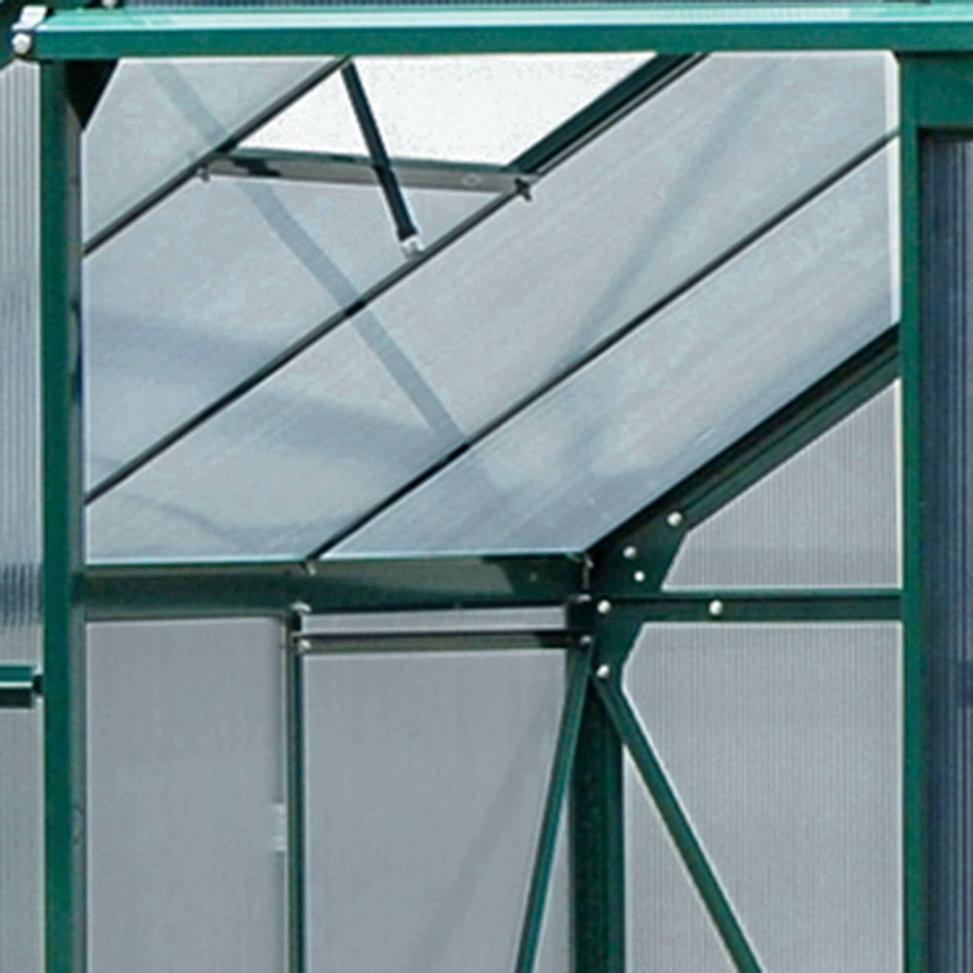 Dark Green Polycarbonate Walk-In Greenhouse with Aluminum Frame