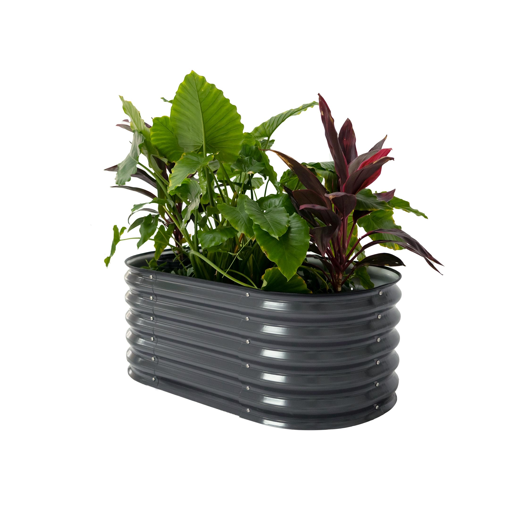 Vego Garden 10-cu ft 24-in W x 42-in L x 17-in H Modern Gray Galvanized Metal Raised Garden Bed #VBKID17MG