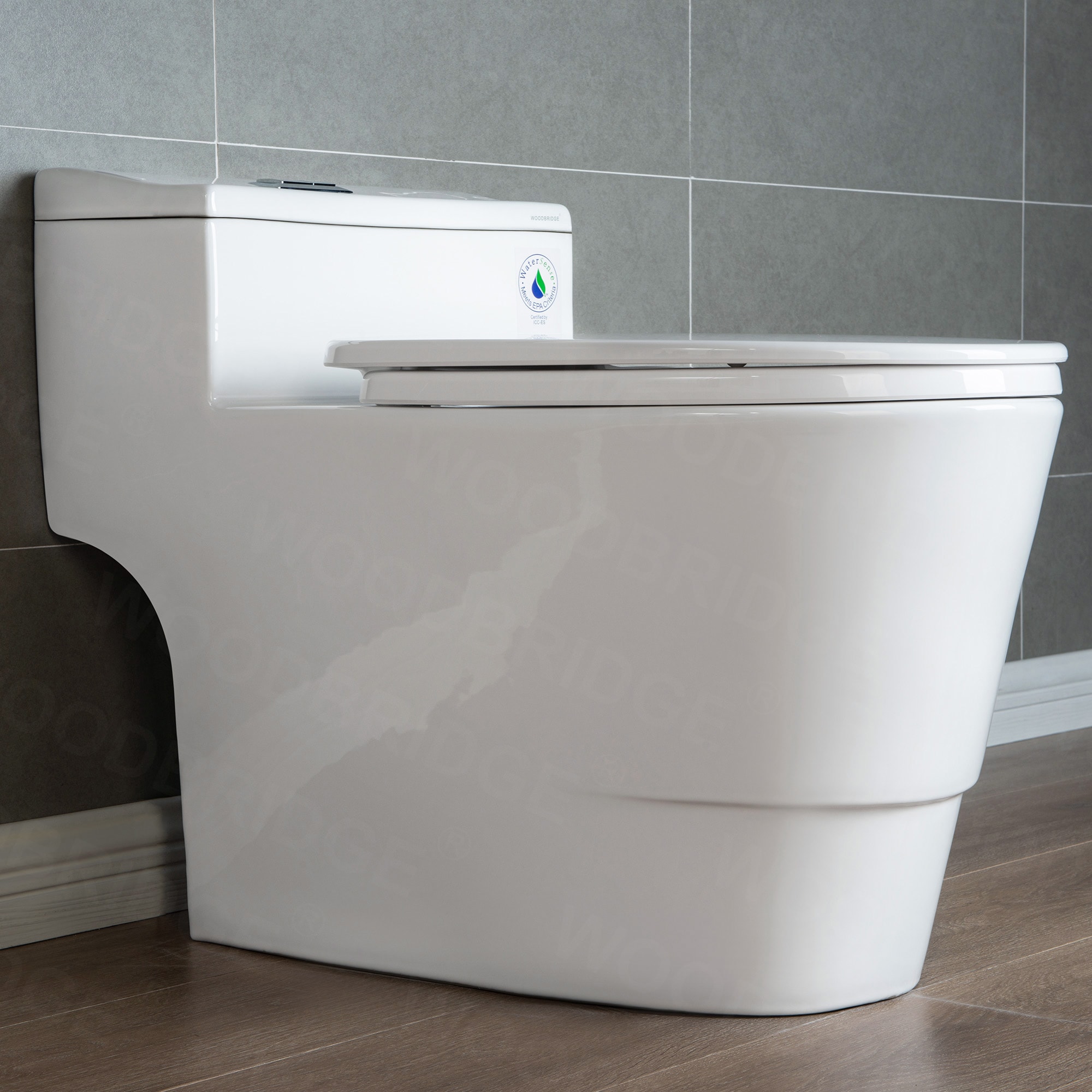 Woodbridge LT520 toilets - View #9