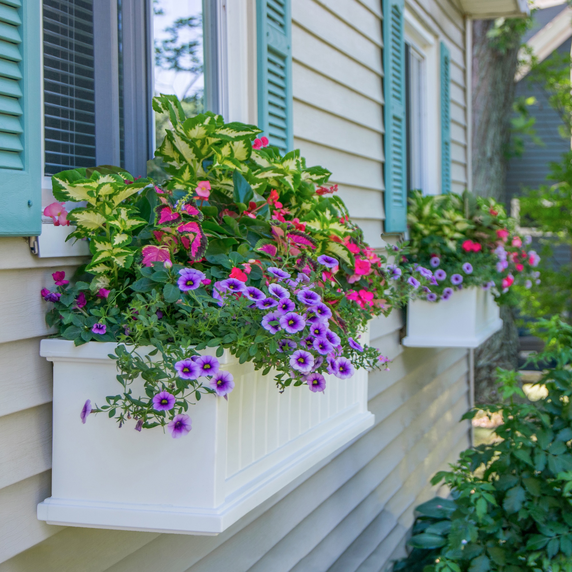 Cape Cod 48" White Polyethylene Self-Watering Window Box Planter
