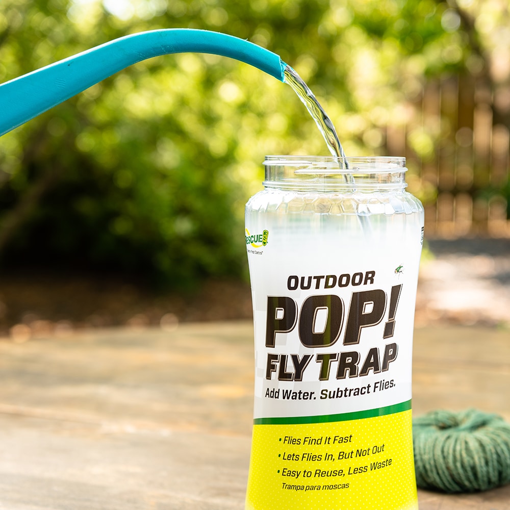 Outdoor Reusable Fly Trap Bottle - Non-toxic Fly Trap Bottle & Bait, Fly  Trap, Fly Catcher, Insect Trap, Flying Insect Trap Bottle, Indoor And  Outdoor, Pest Control, Household Gadgets, Back To School