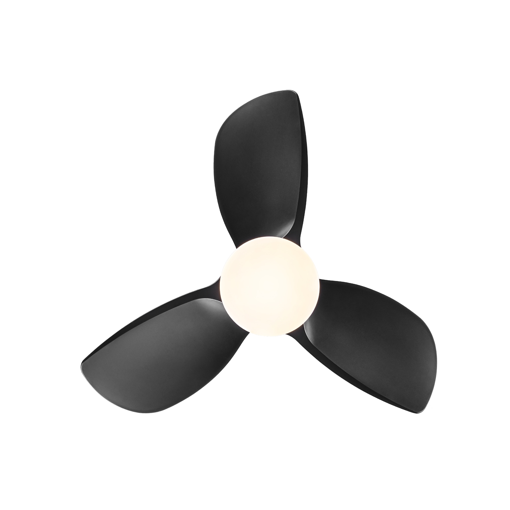 Tatayosi JJ-234010 Ceiling-Fans - View #7