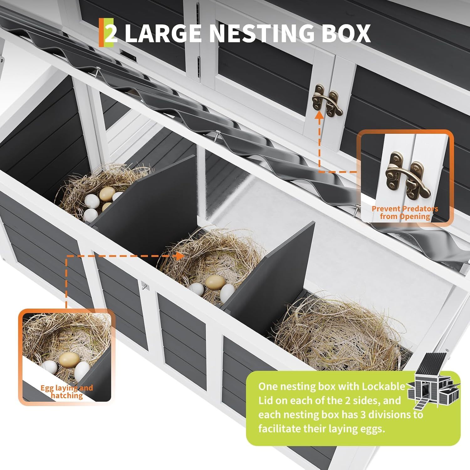 Qeetex GGL-PPS-334MVW6V Chicken-Coops-Rabbit-Hutches - View #6