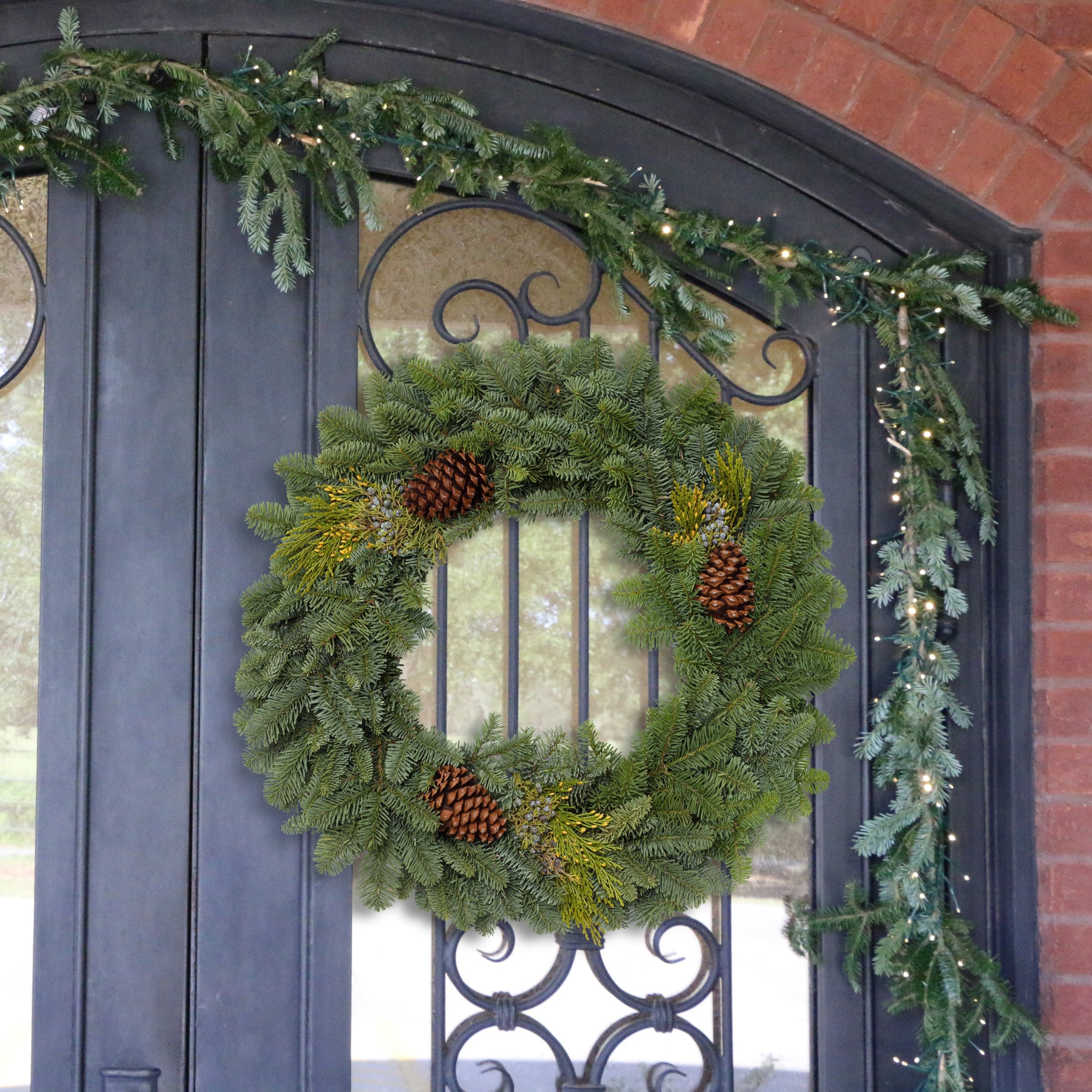 National Plant Network 24-in Real Noble fir Christmas Wreath #LW1861