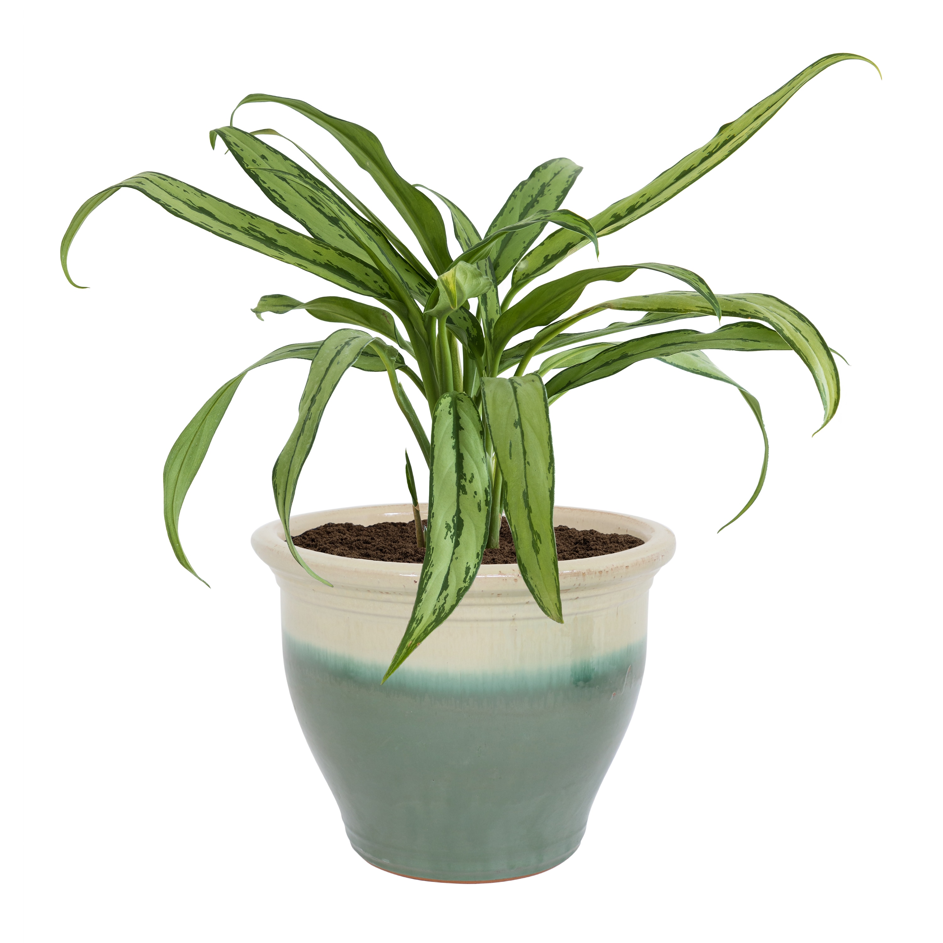 Sunnydaze Decor AP-940 Planter-Window-Box - View #9
