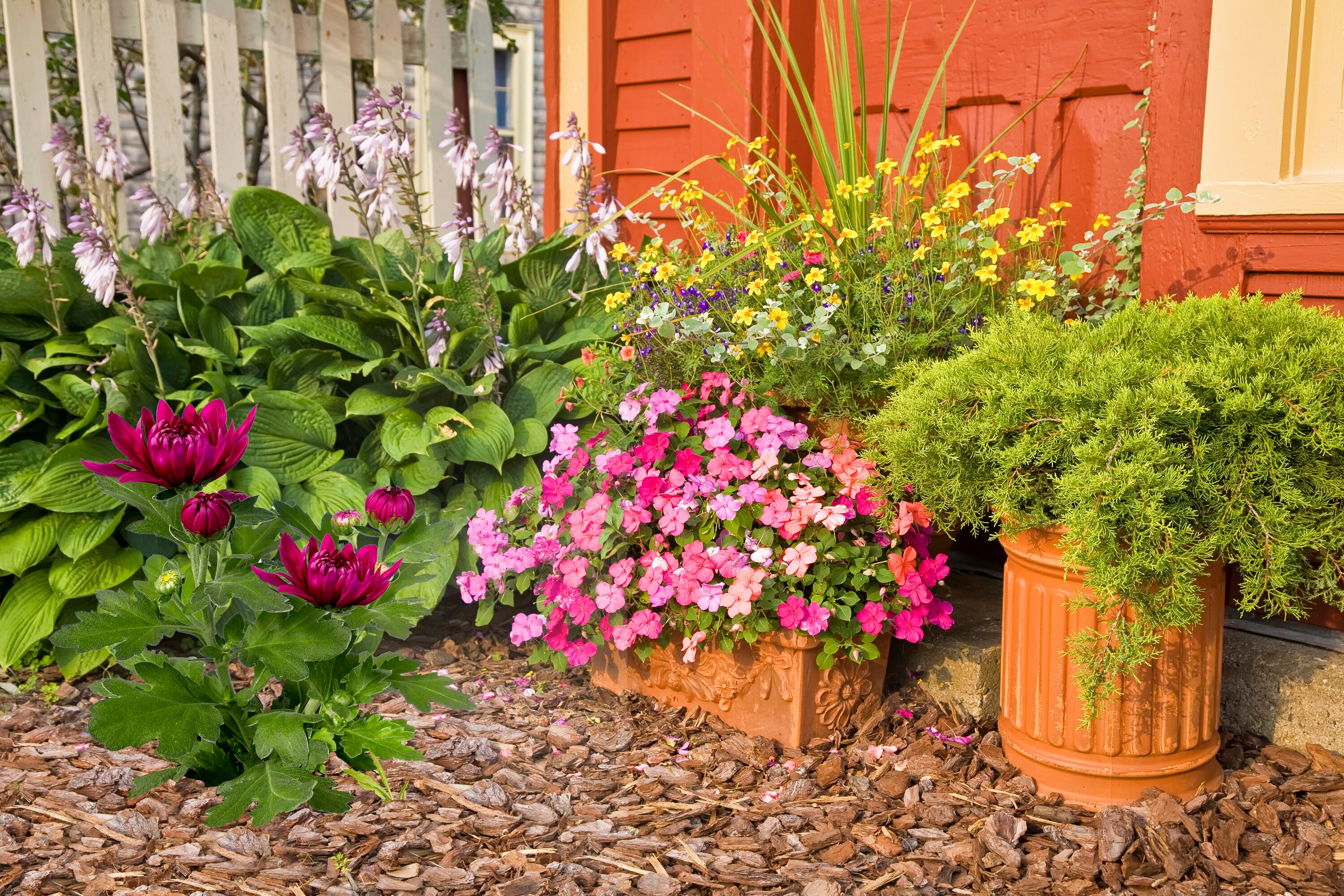  1563 annuals - View #5