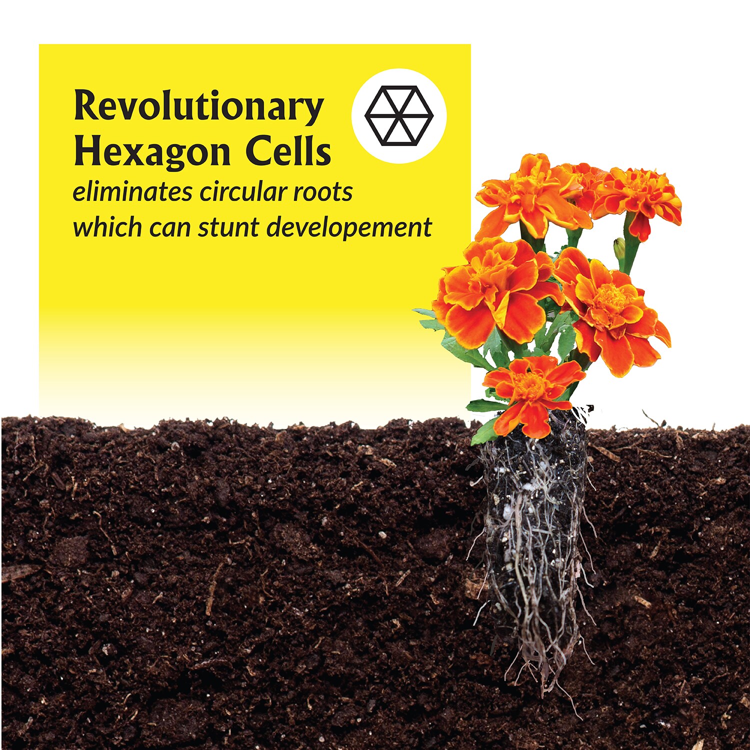 Jiffy LC-PHEX-7L Seed-Starters - View #4