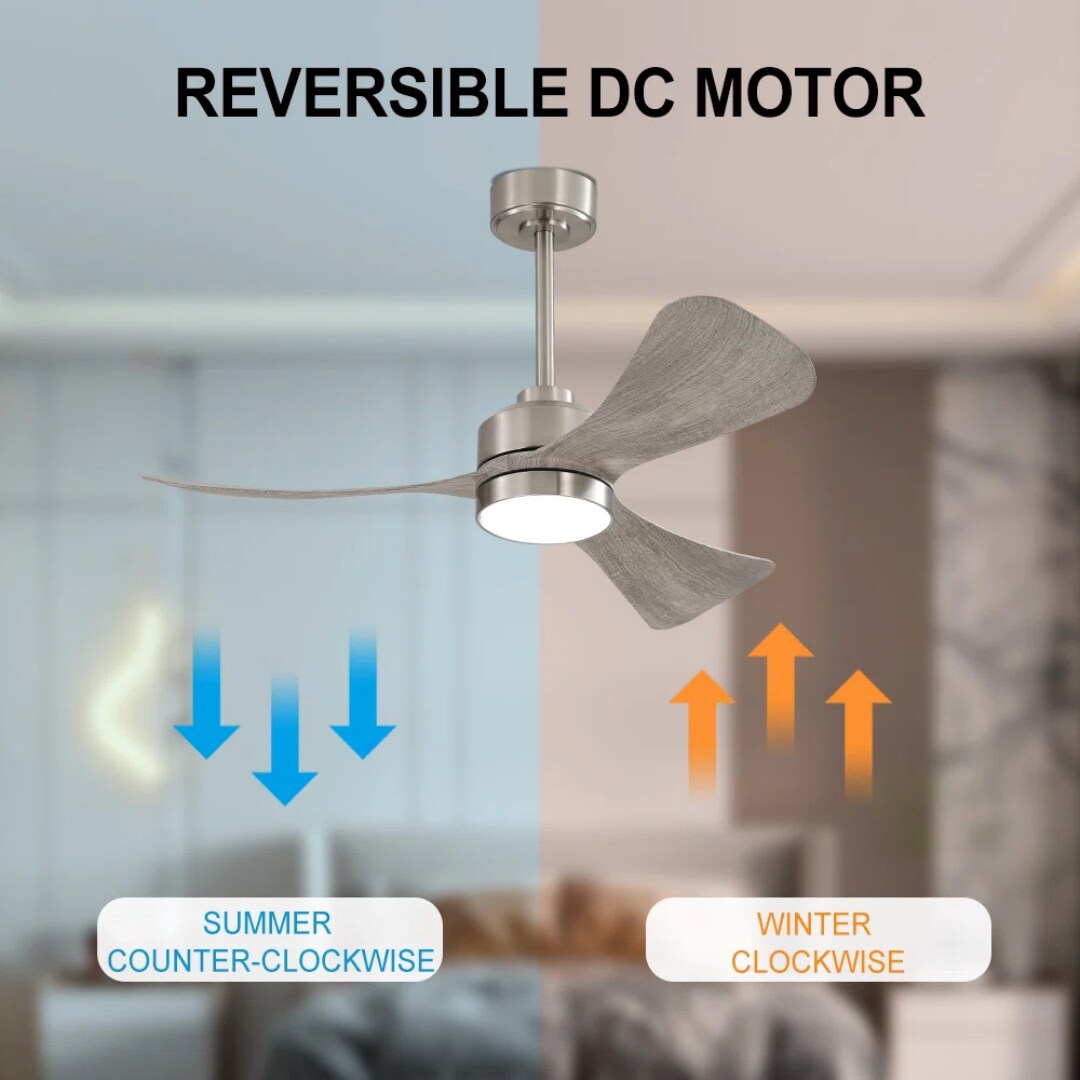 MLIAN WBCF-BS169-NW Ceiling-Fans - View #6