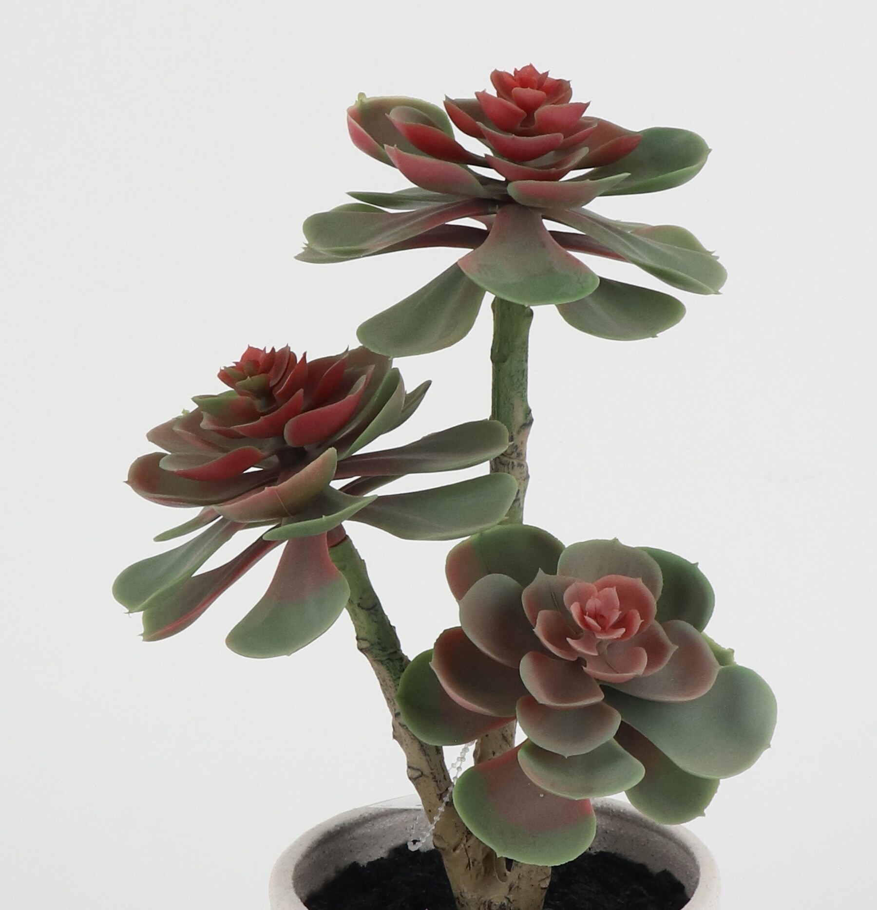 Origin 21 22LOW031 Artificial-Plants-Trees - View #7