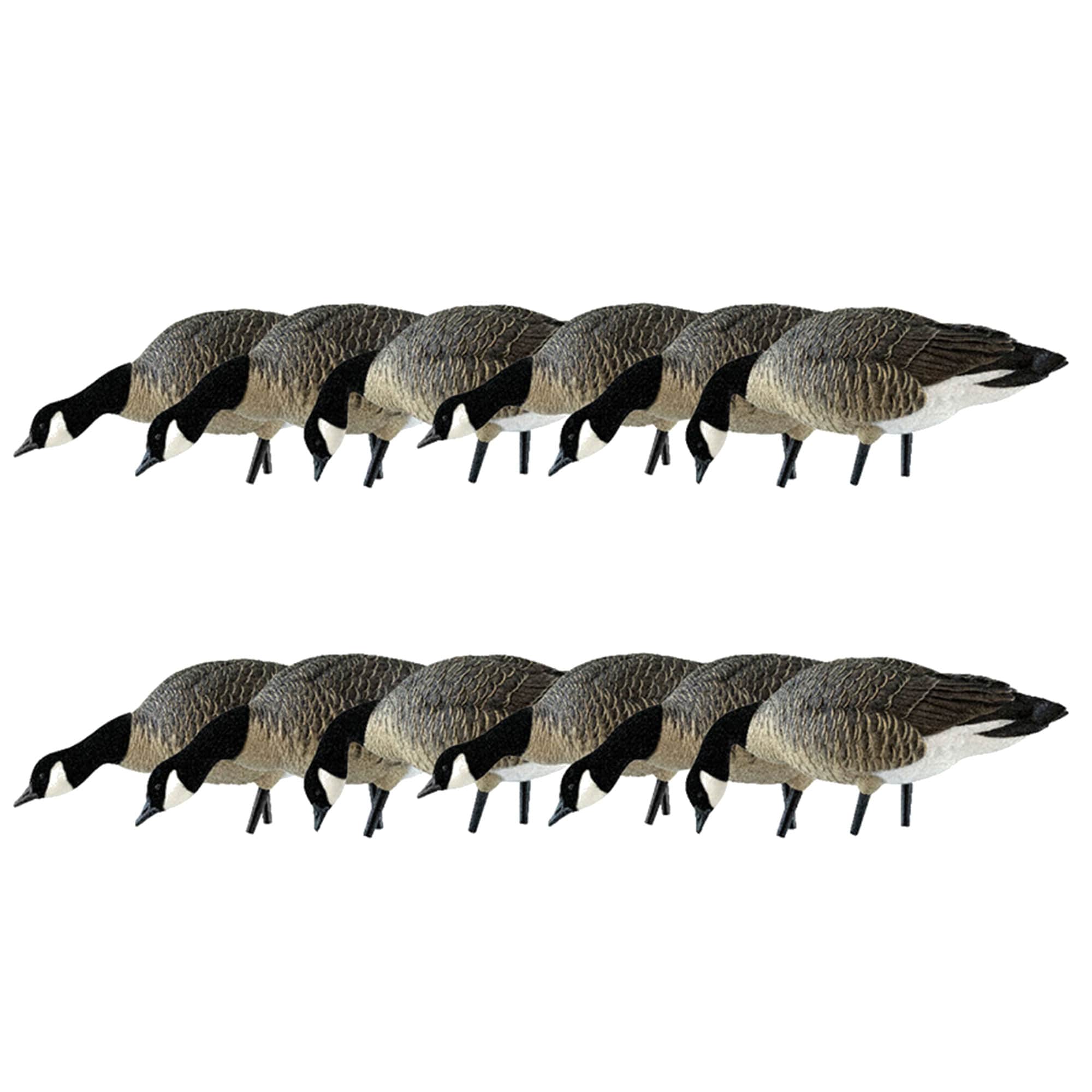  Avian X 408538 29 x 19 x 16 Inche(s) Decoy 12 -Pack