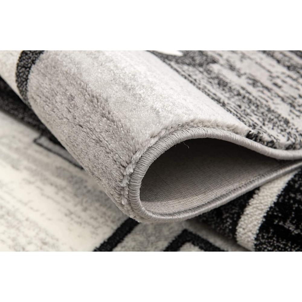 HomeRoots 4000393823 rugs - View #6