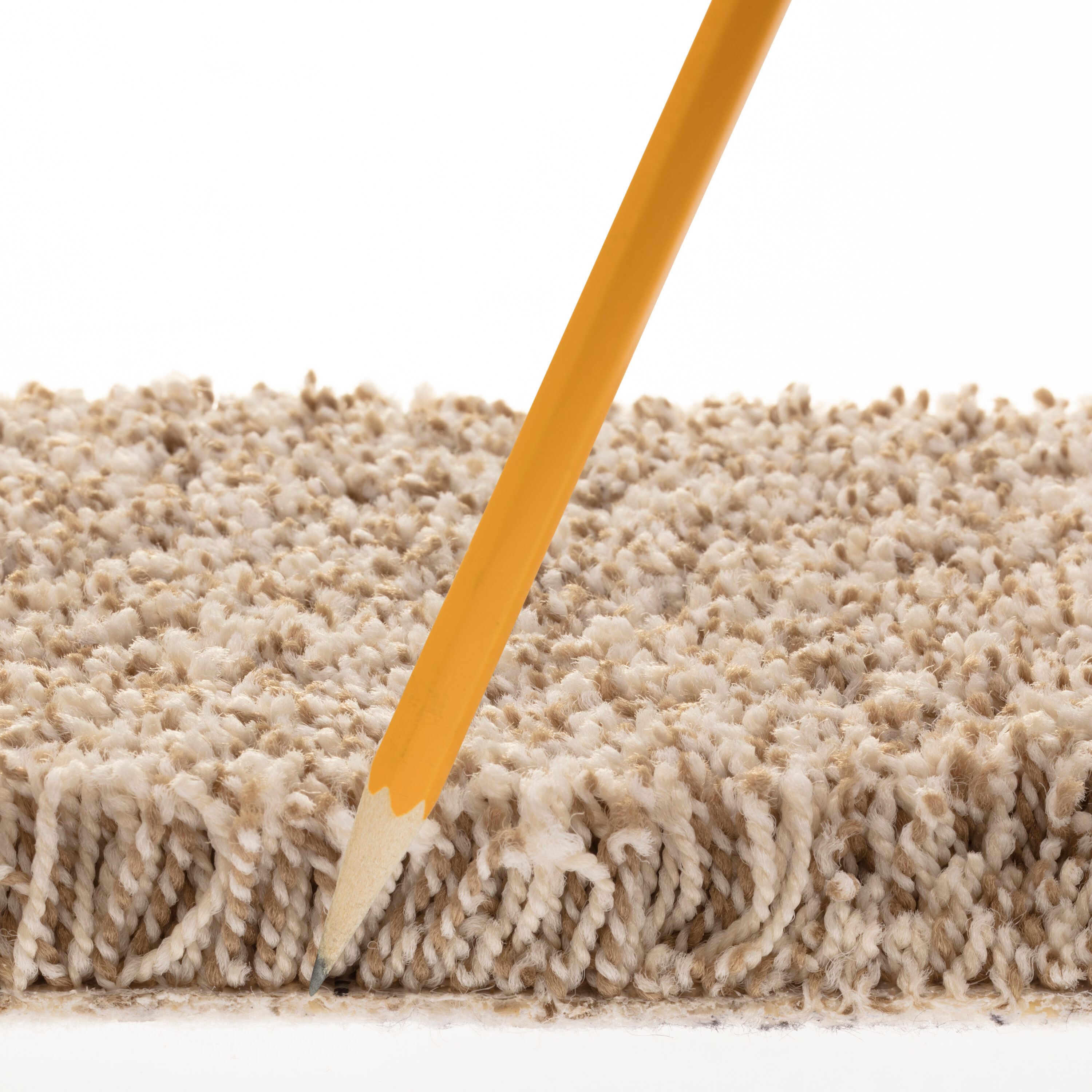 STAINMASTER PetProtect 7L858 - 712 - SAMP Carpet-Samples - View #7