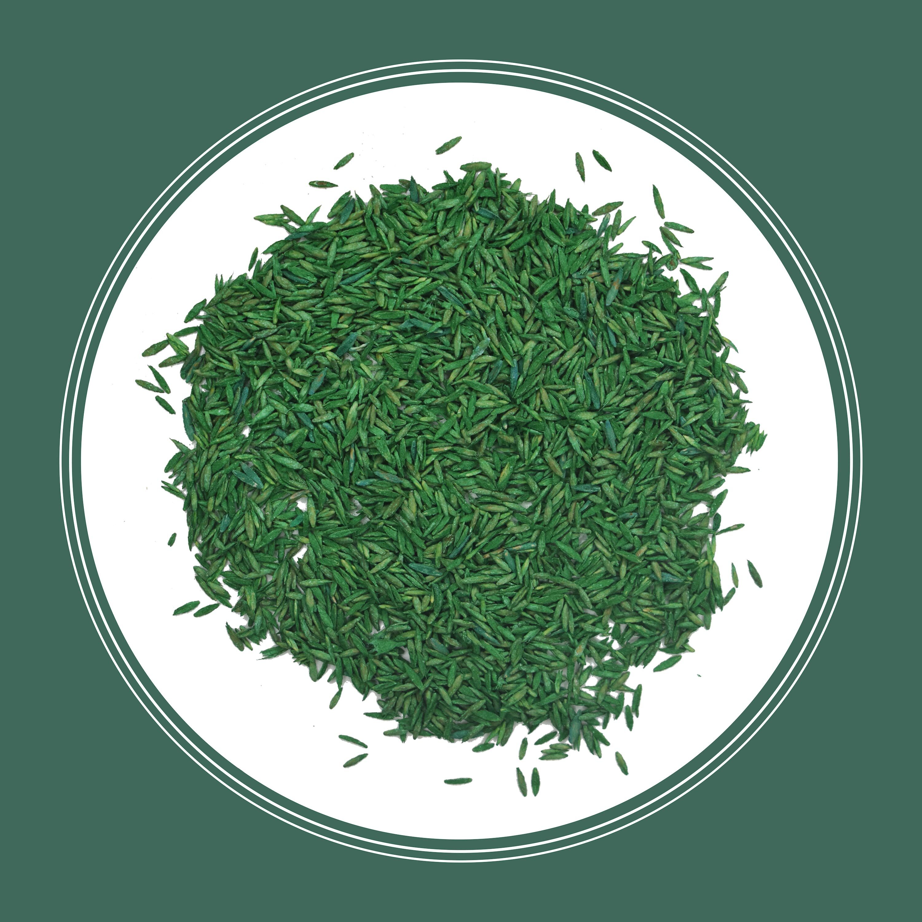 Pennington 2149602260 Grass-Seed - View #3