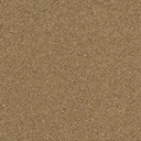 Sand Dune